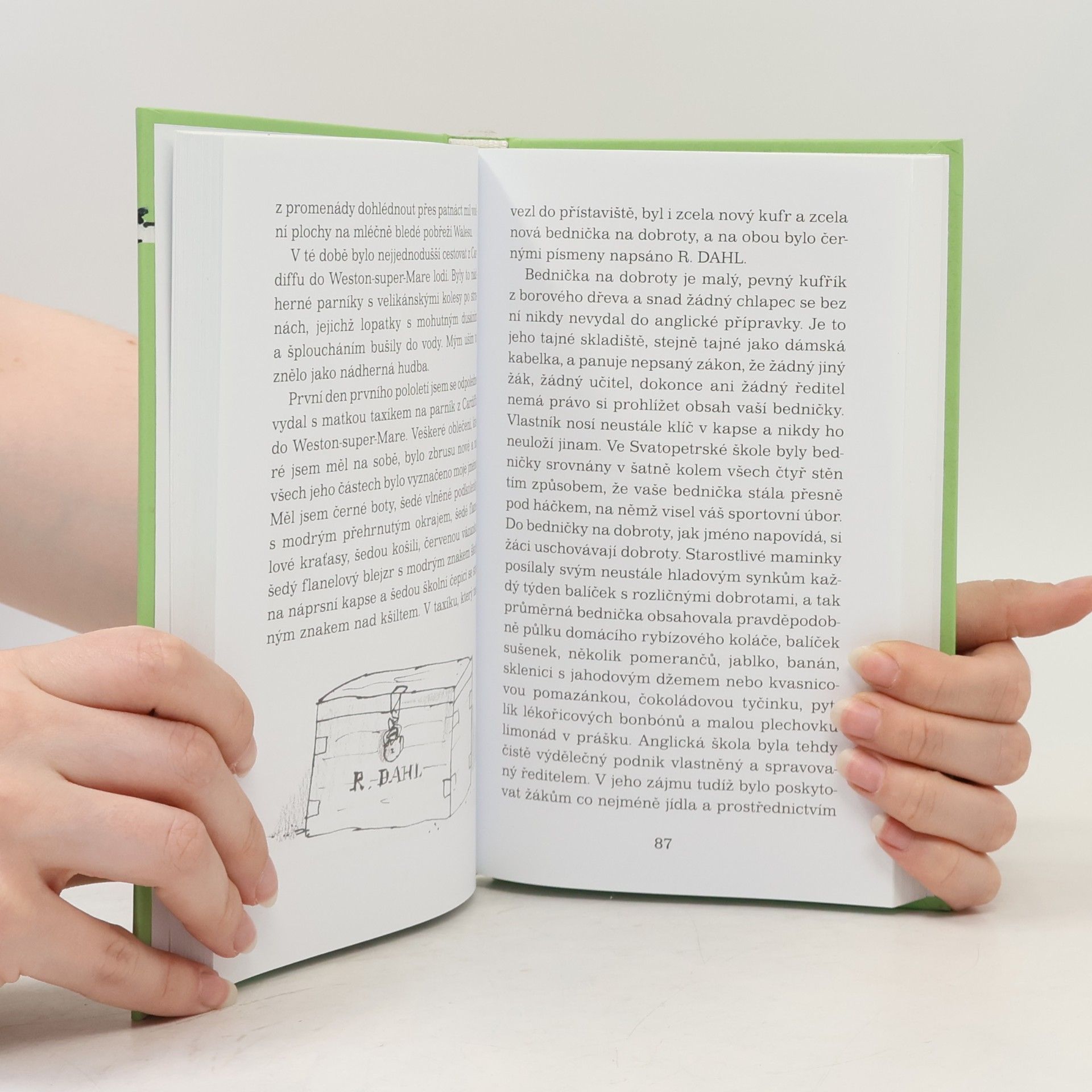 Roald Dahl Kluk: Příběhy z dětství
