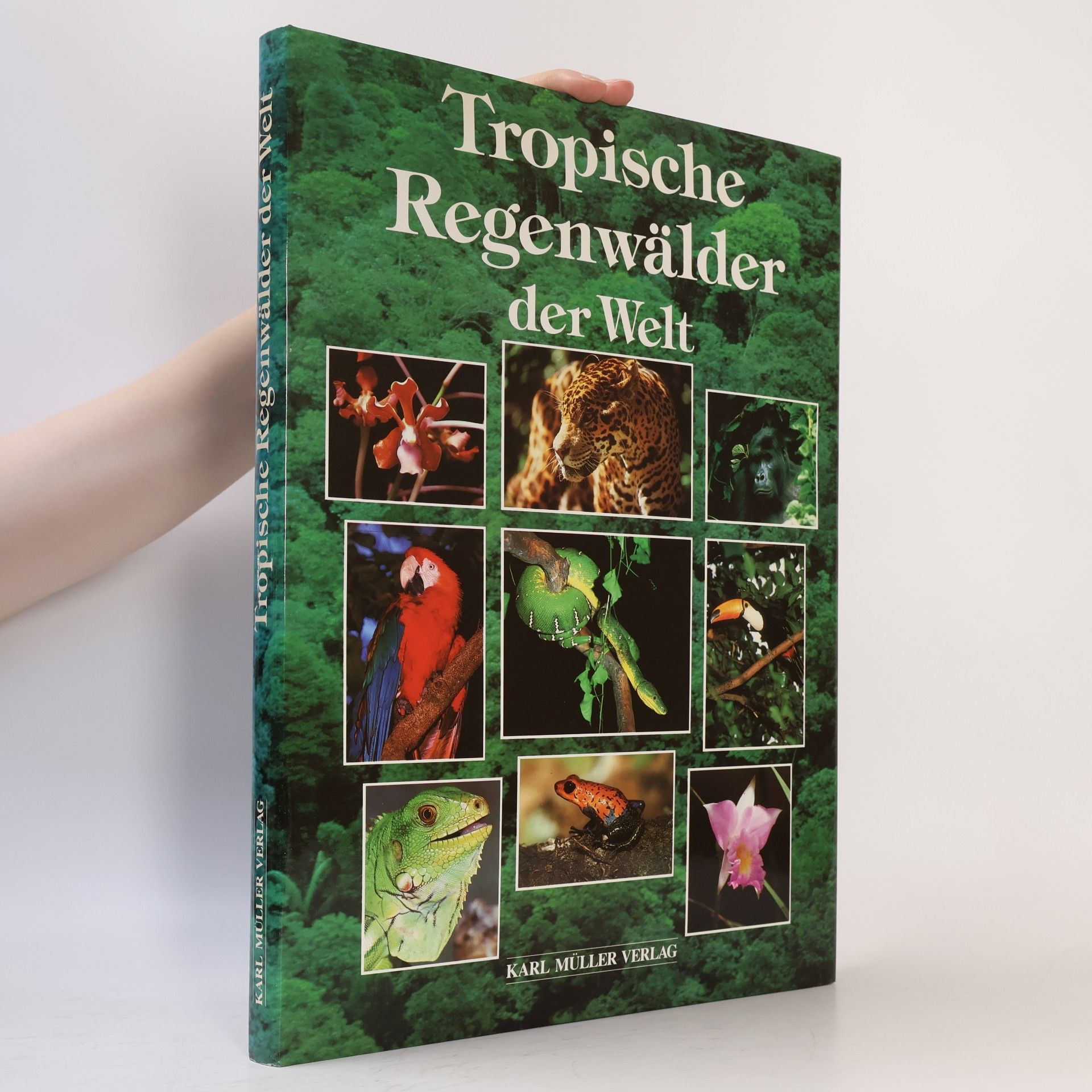 Monika Granzer Tropische Regenwälder der Welt