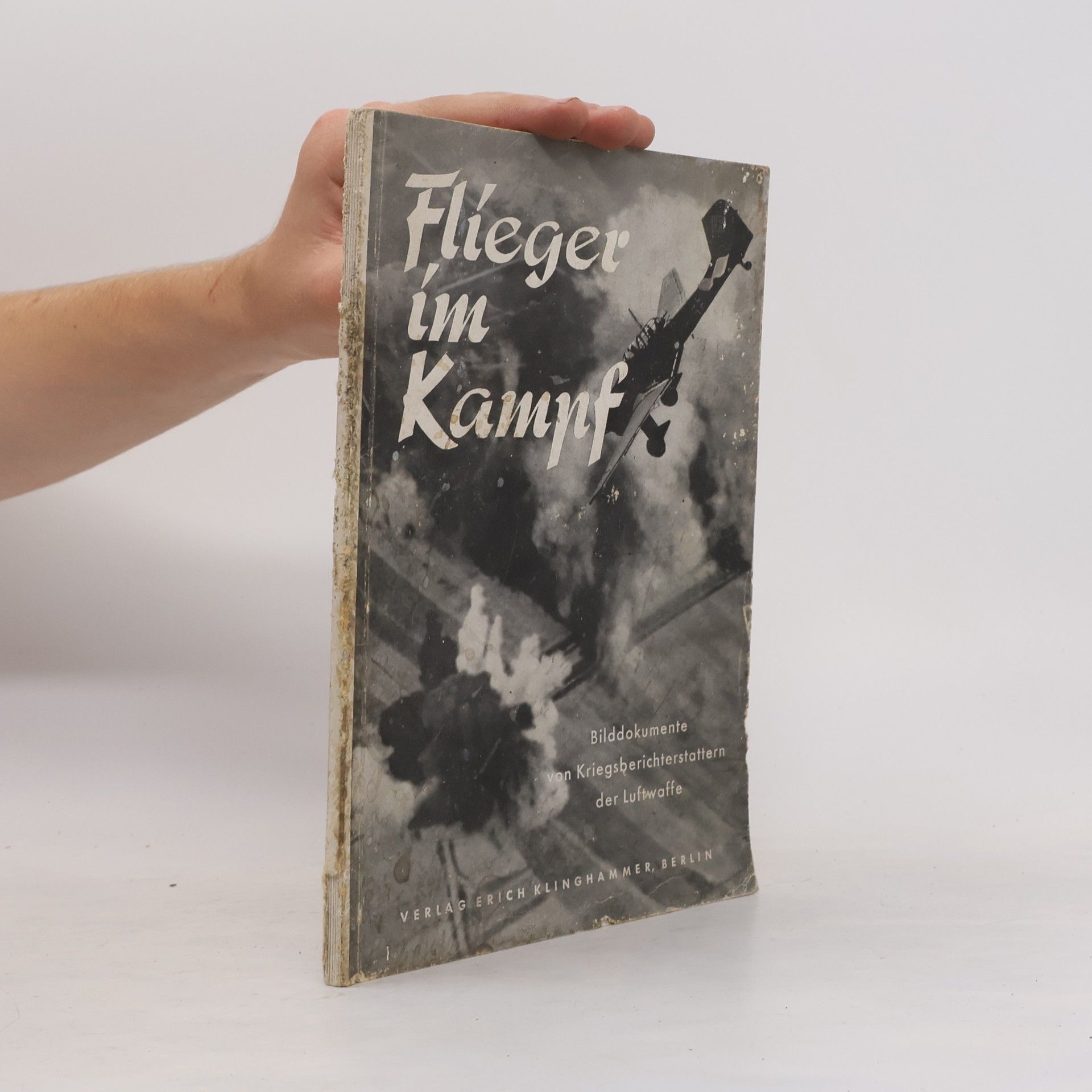 Autorenkollektiv Flieger im Kampf