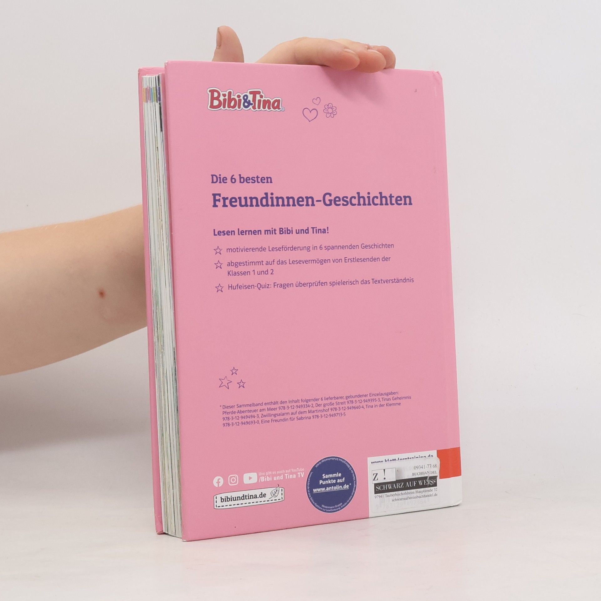 Klett Lerntraining Bibi & Tina: Die 6 besten Freundinnen-Geschichten