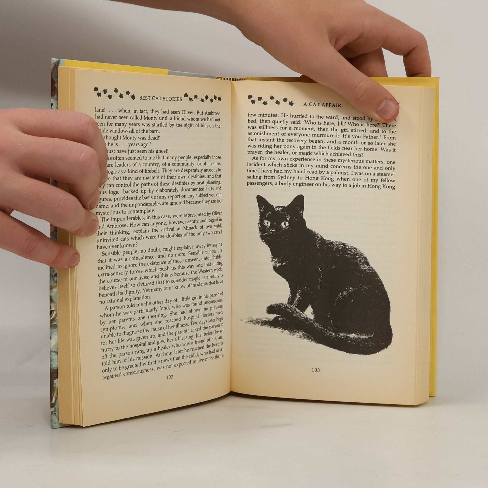 Beryl Reid Best Cat Stories