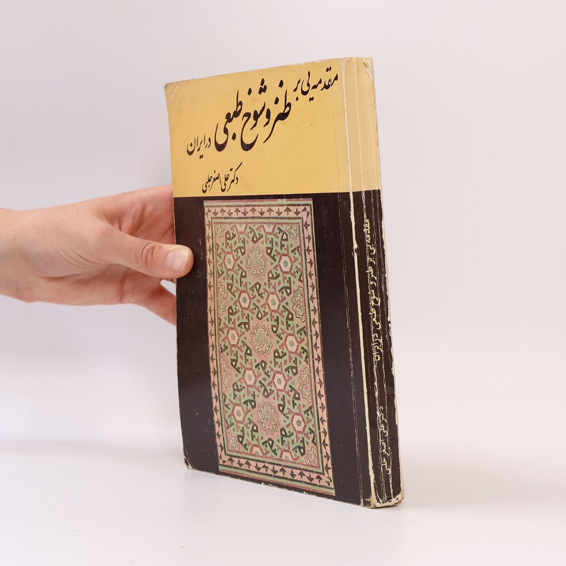 Alí Asghar Halabí مقدمه ای بر طنز و شوخ طبعی در ایران