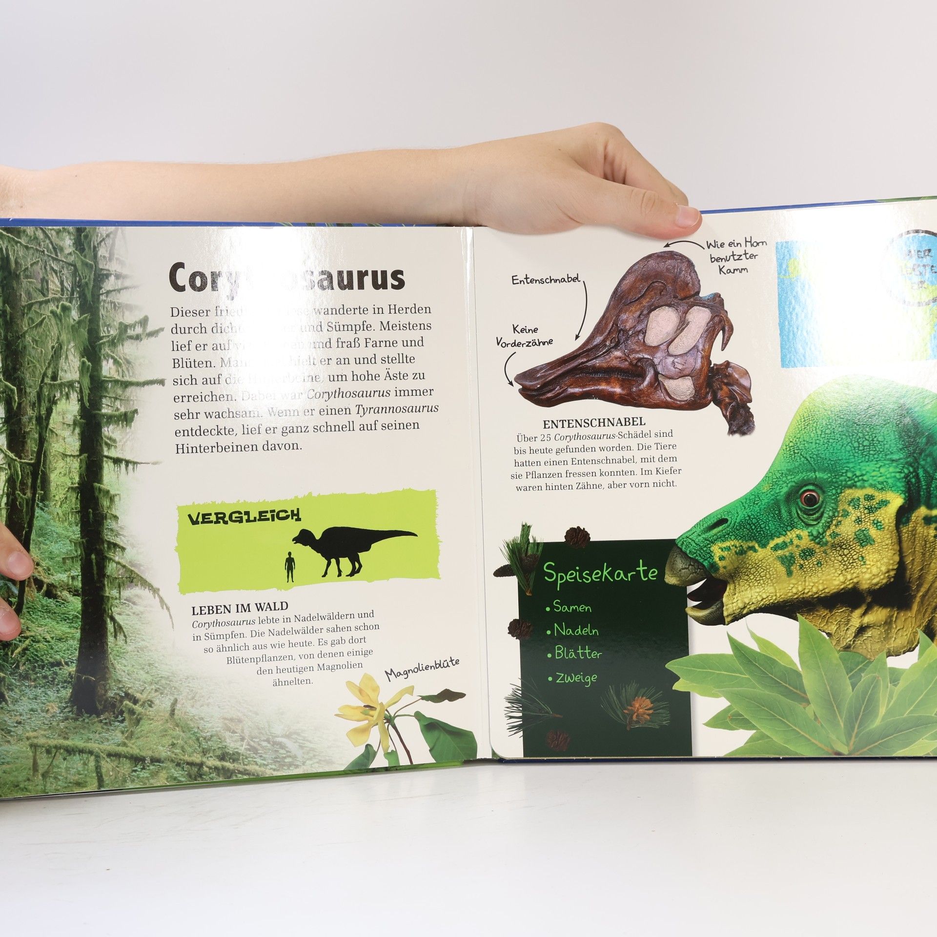 Autorenkollektiv Mein riesengroßes Ausklappbuch. Dinos