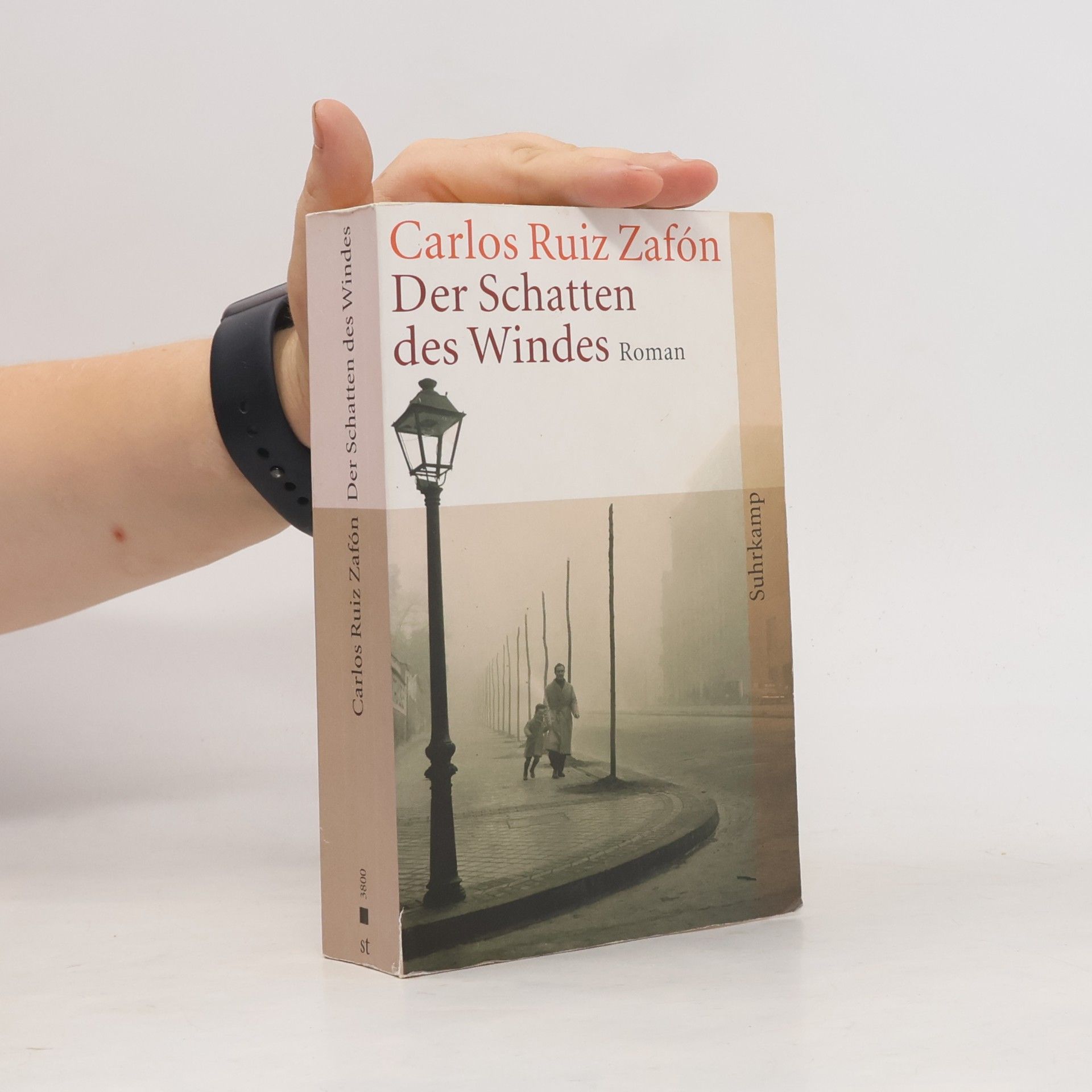 Der Schatten des Windes