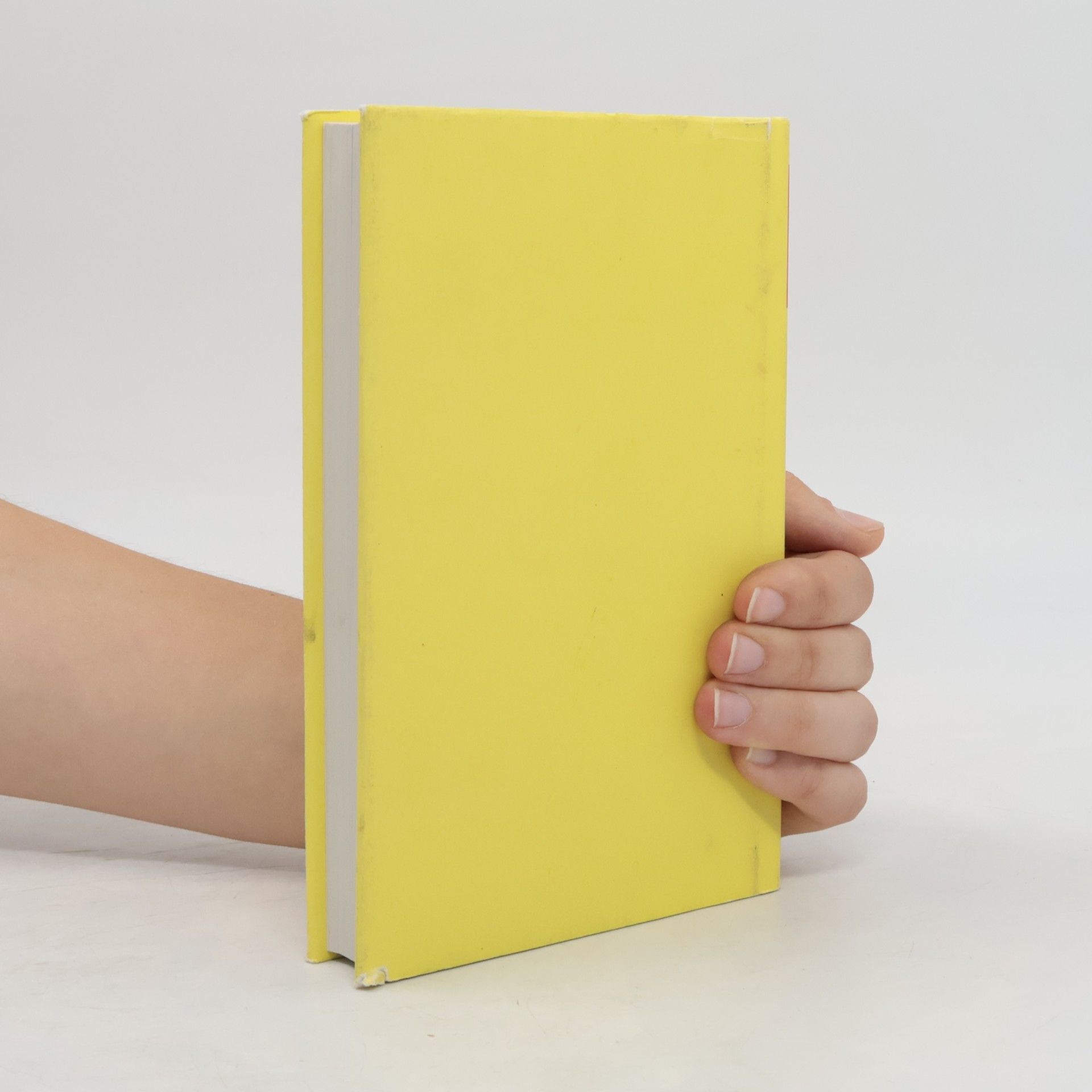 Kolektiv autorů Licht und Kraft Losungskalender 2013