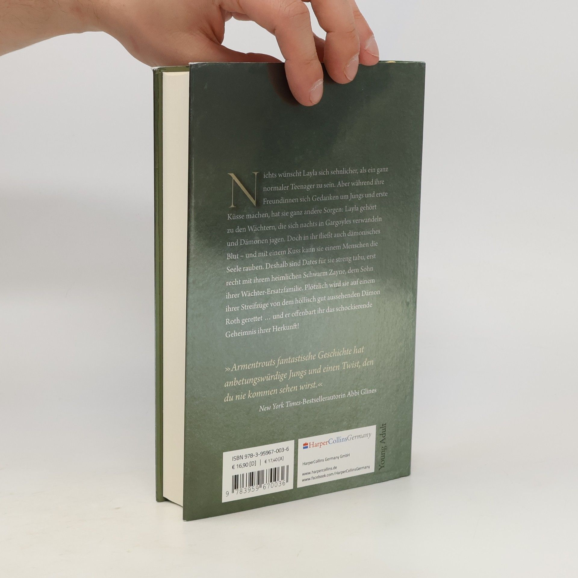Jennifer Armentrout Dark Elements - steinerne Schwingen