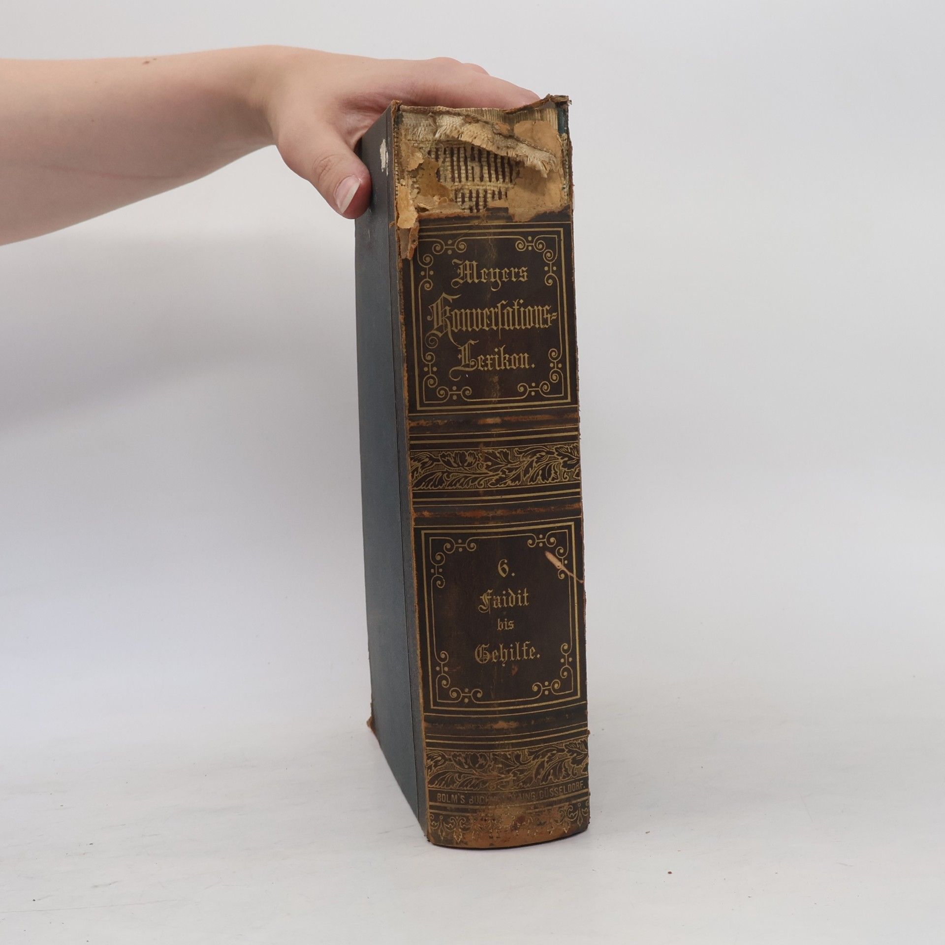 Autores varios Meyers Konversations-Lexikon 6
