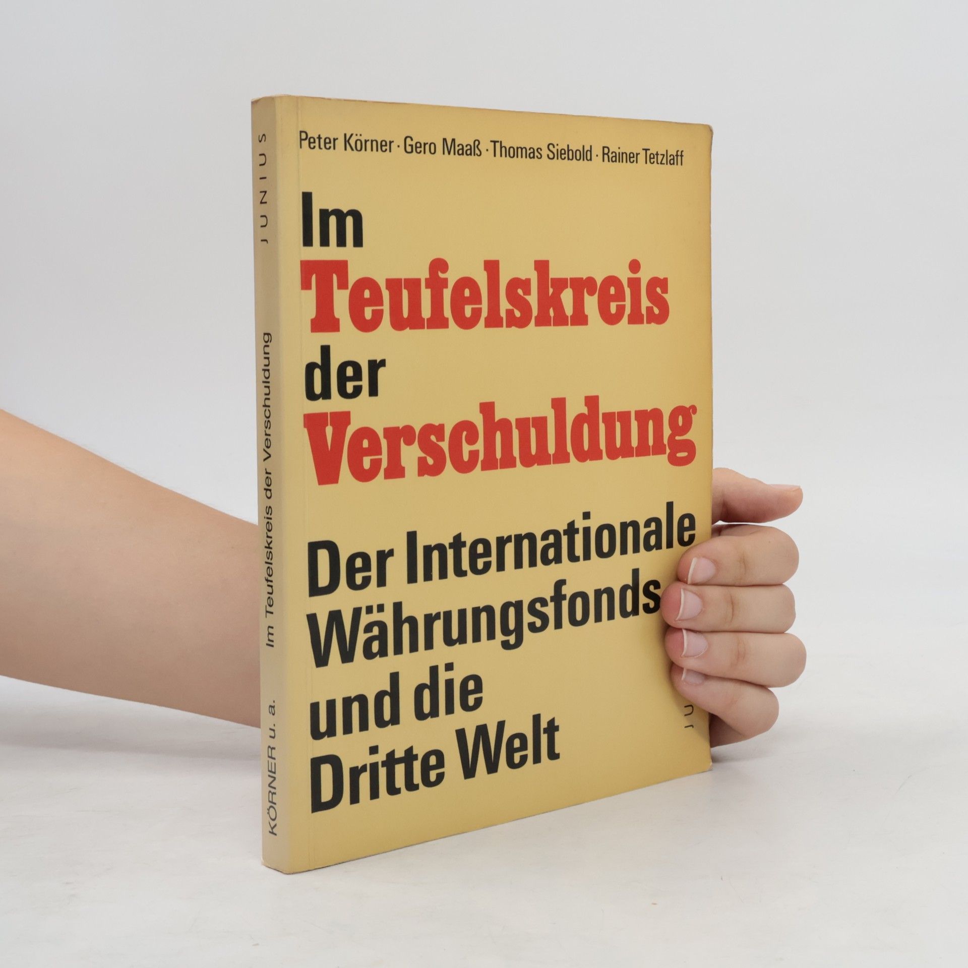 Gero Maaß Im Teufelskreis der Verschuldung