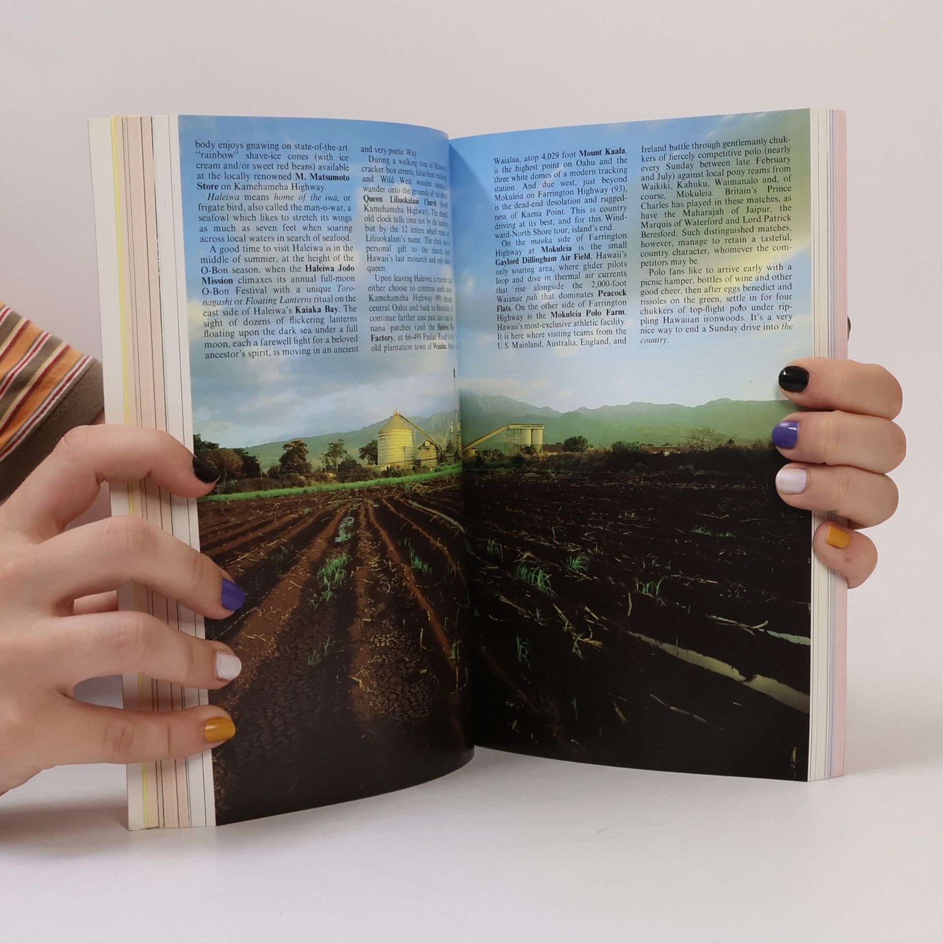 Autorenkollektiv Hawaii