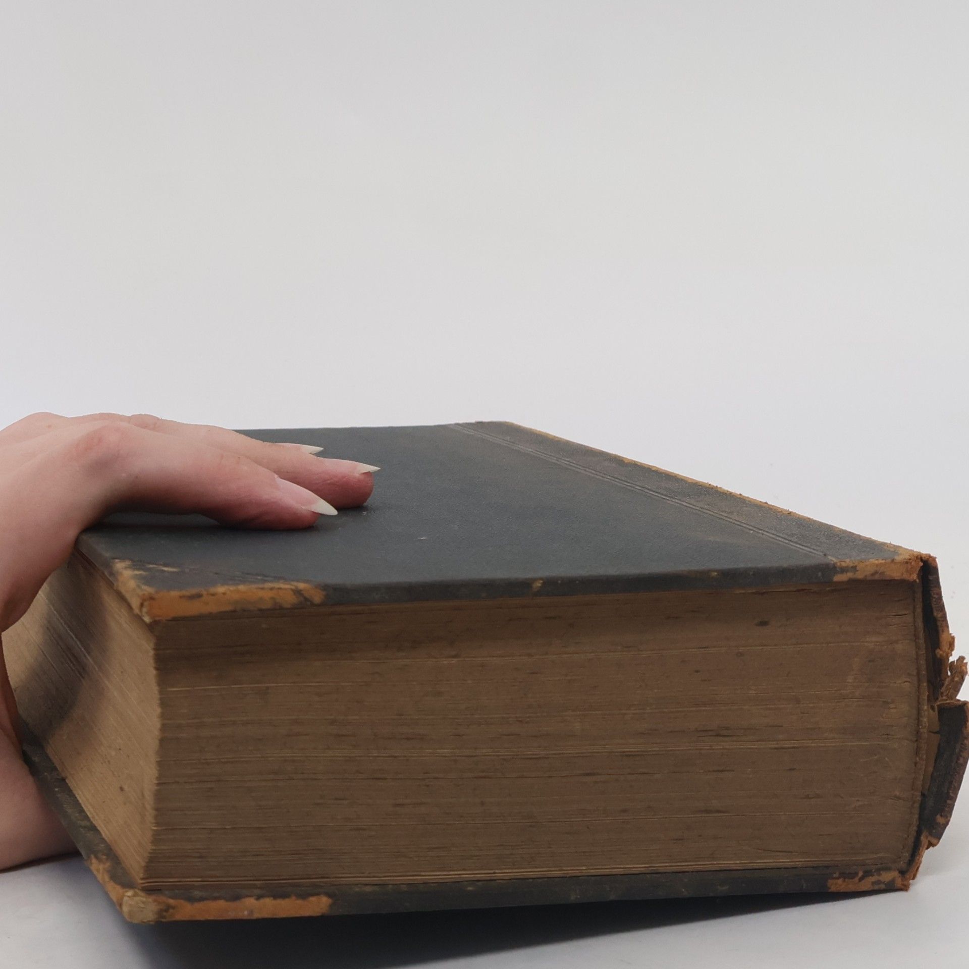 Autores varios Meyers Konversations-Lexikon 14. Rüböl-Sodawasser