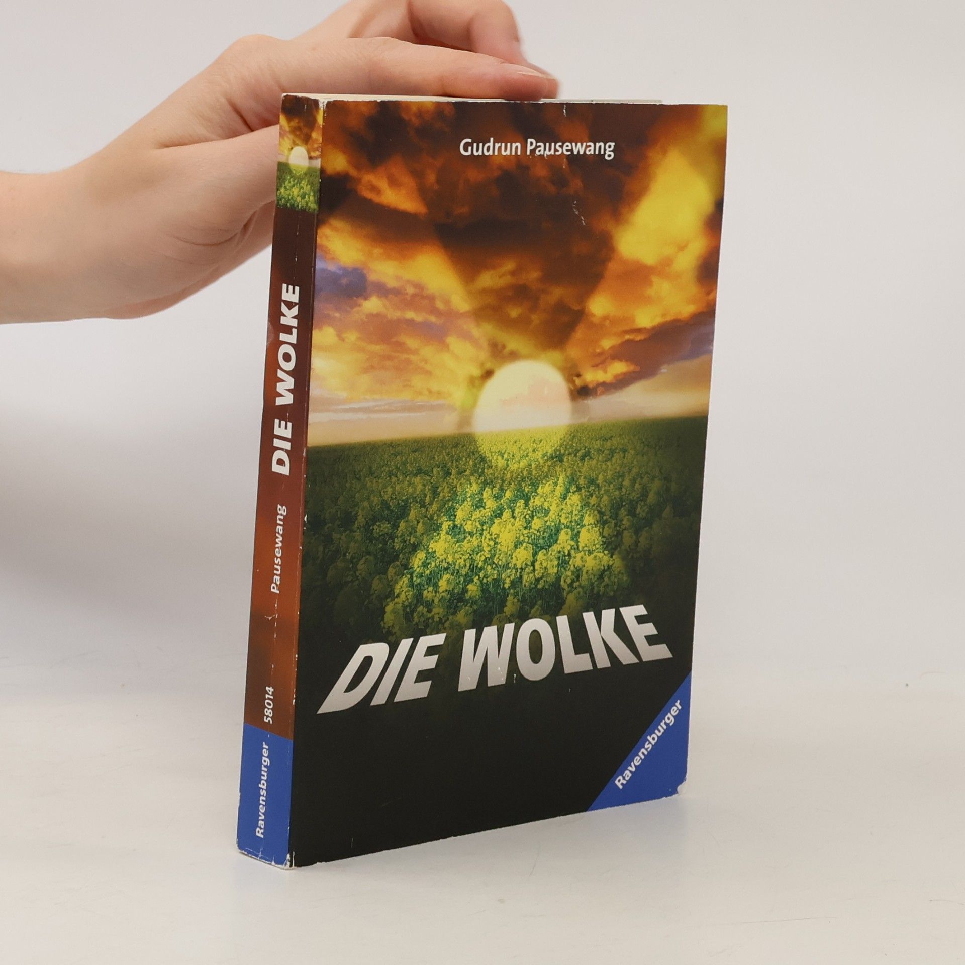Gudrun Pausewang Die Wolke