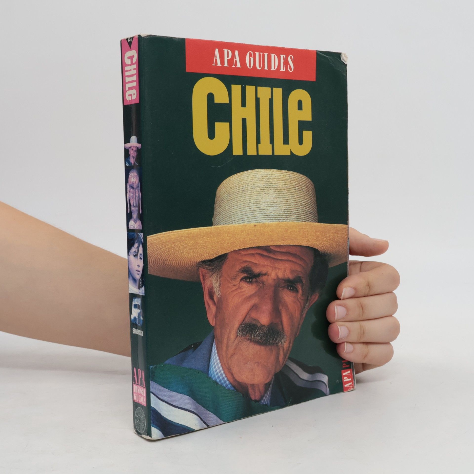 Autorenkollektiv Insight Guides - 151: Chile