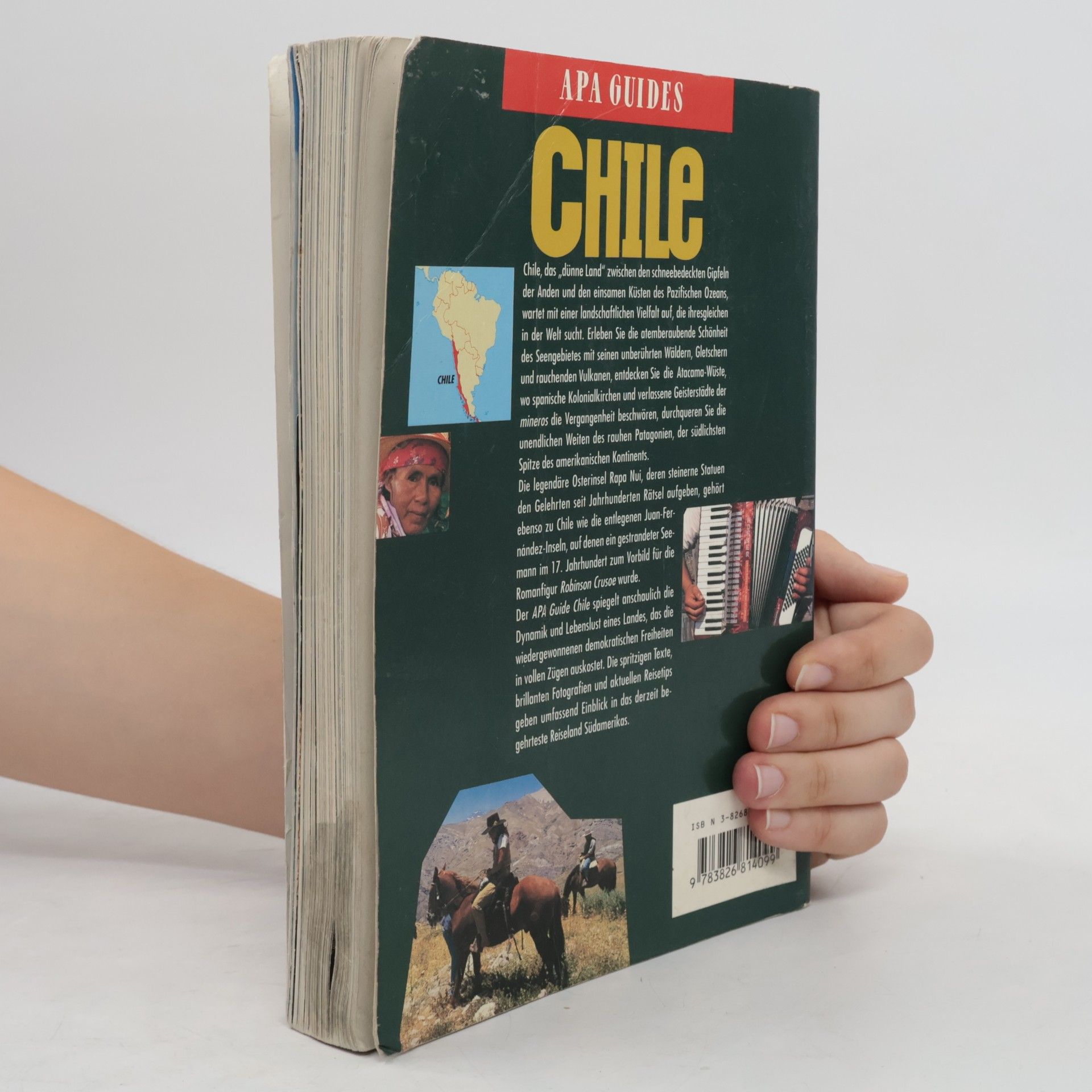 Insight Guides - 151: Chile