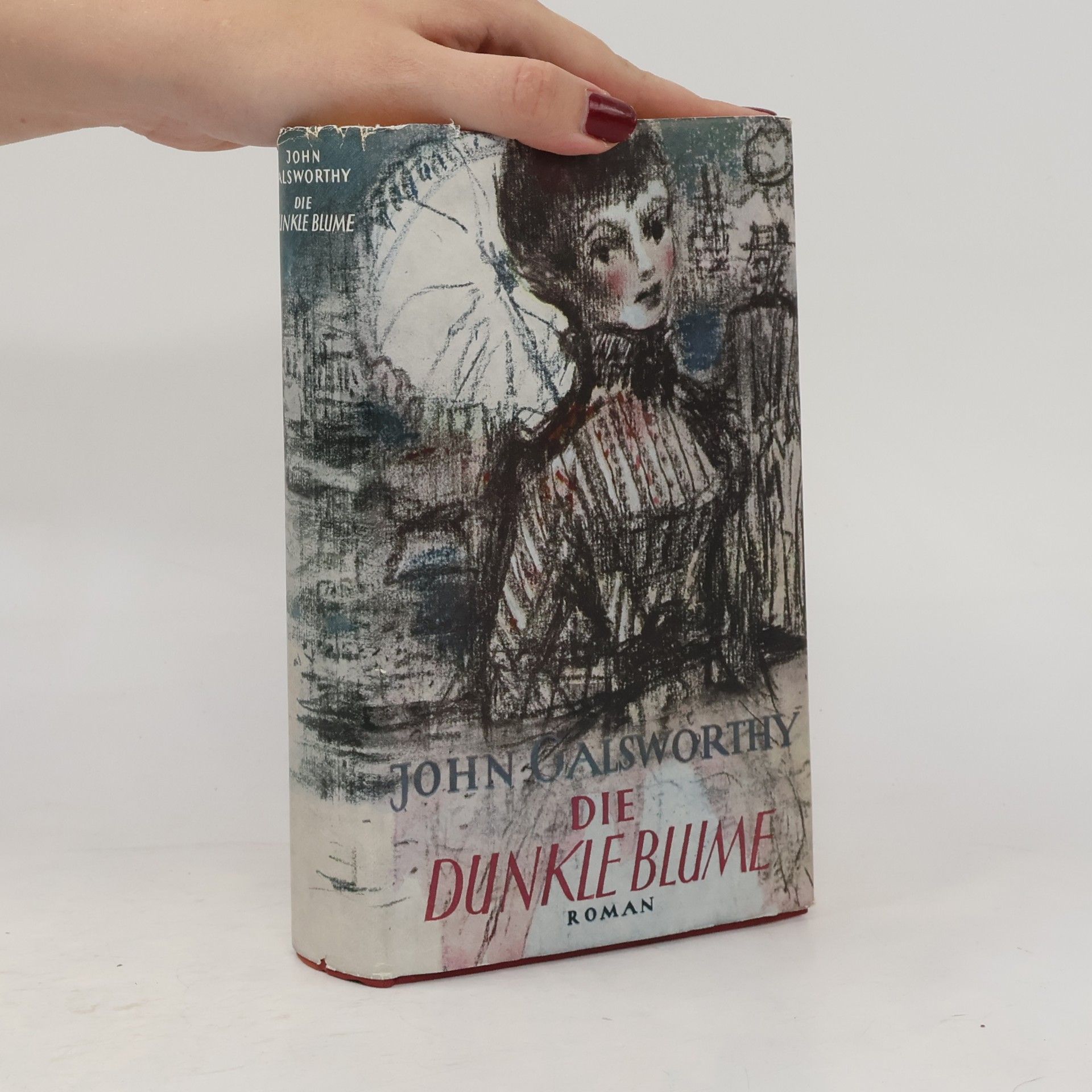 John Galsworthy Die dunkle Blume
