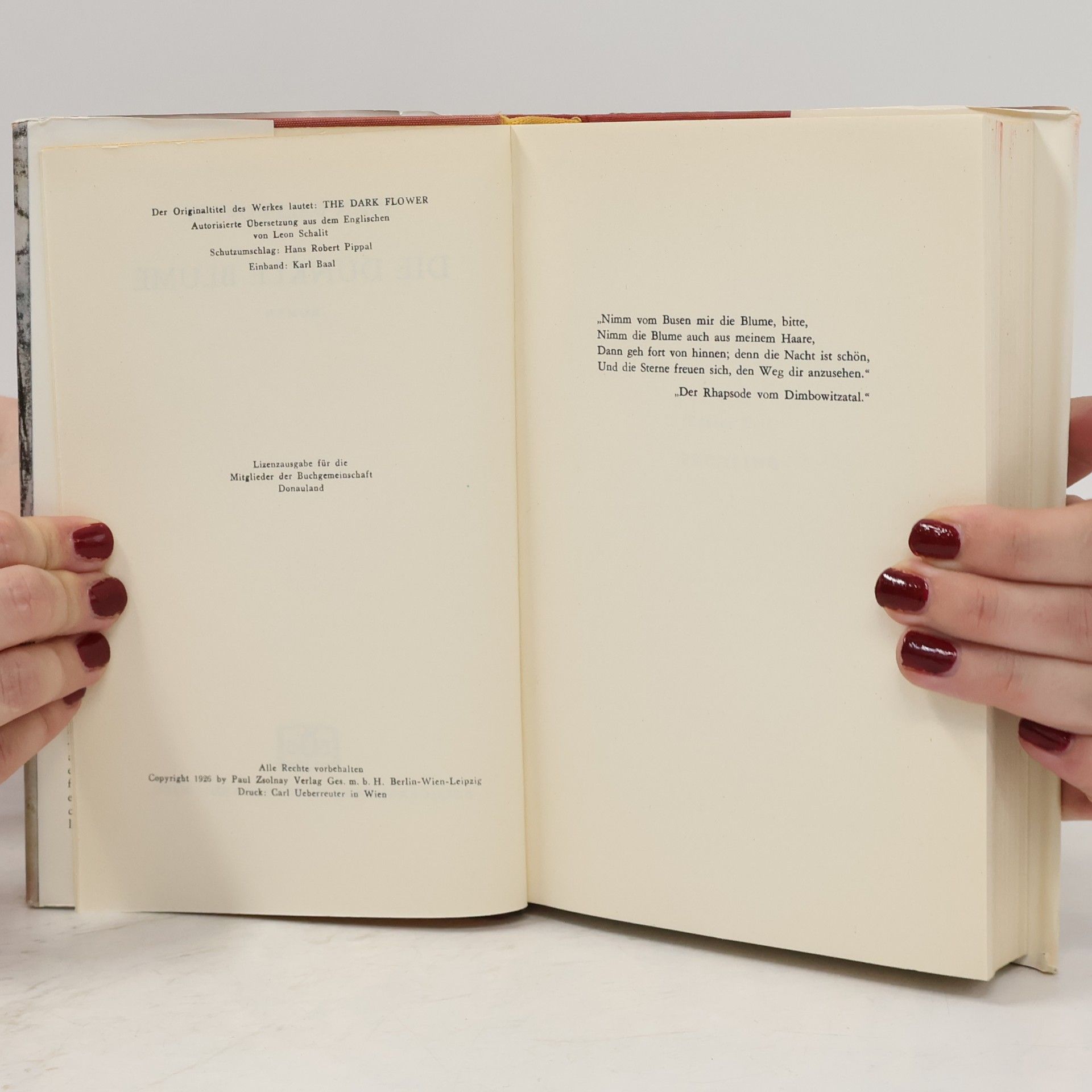 John Galsworthy Die dunkle Blume