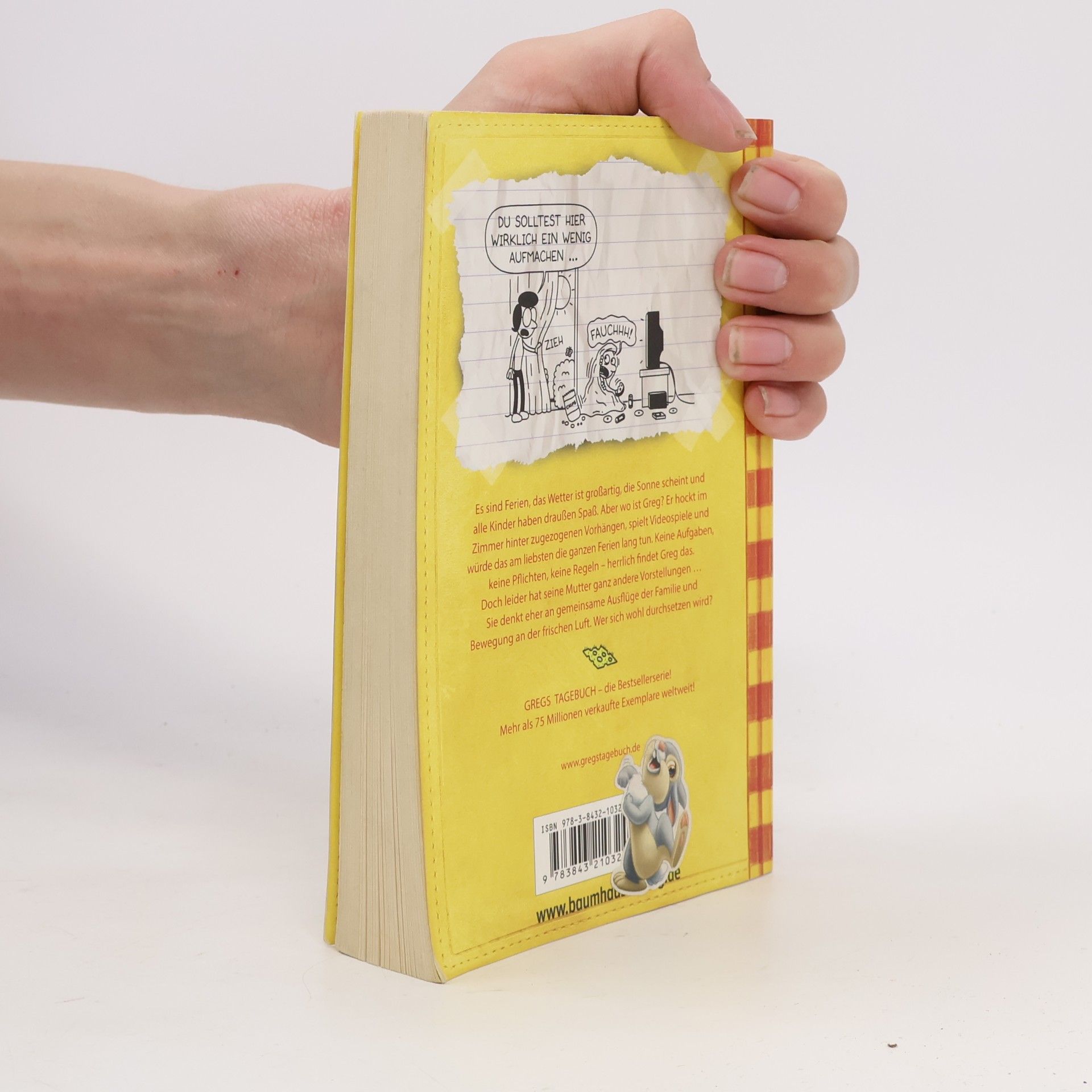 Jeff Kinney Gregs Tagebuch 4 - Ich war's nicht!