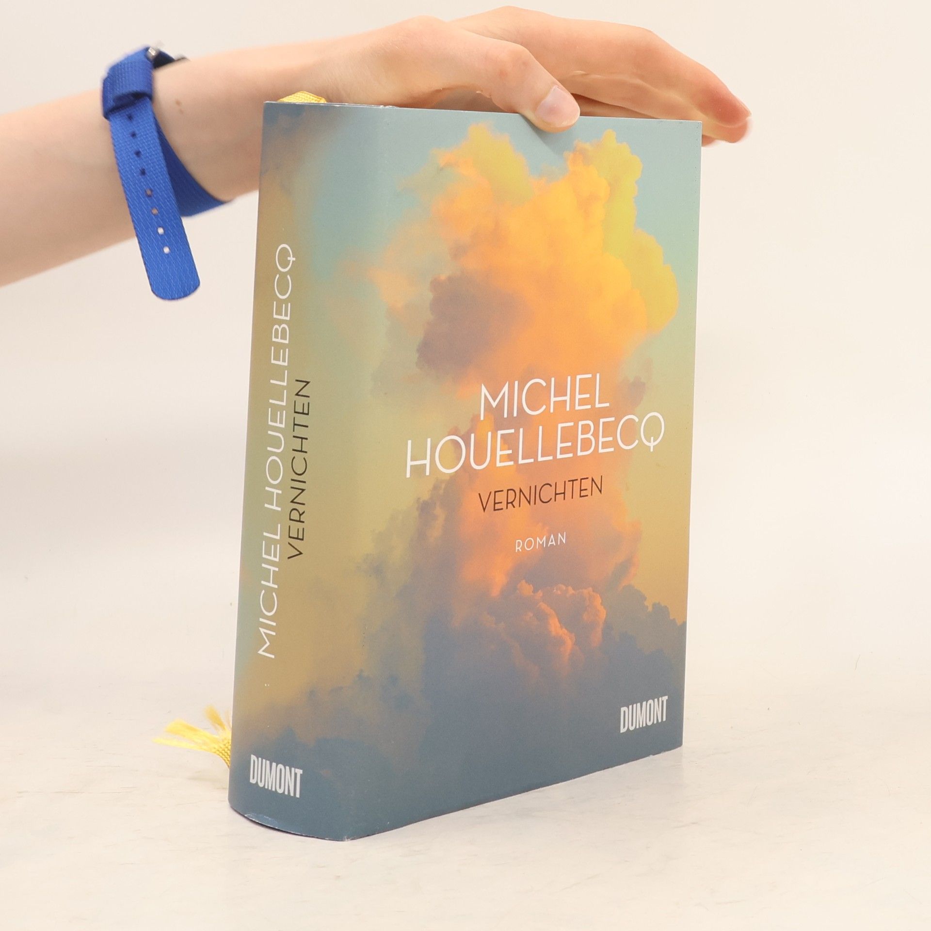 Michel Houellebecq Vernichten