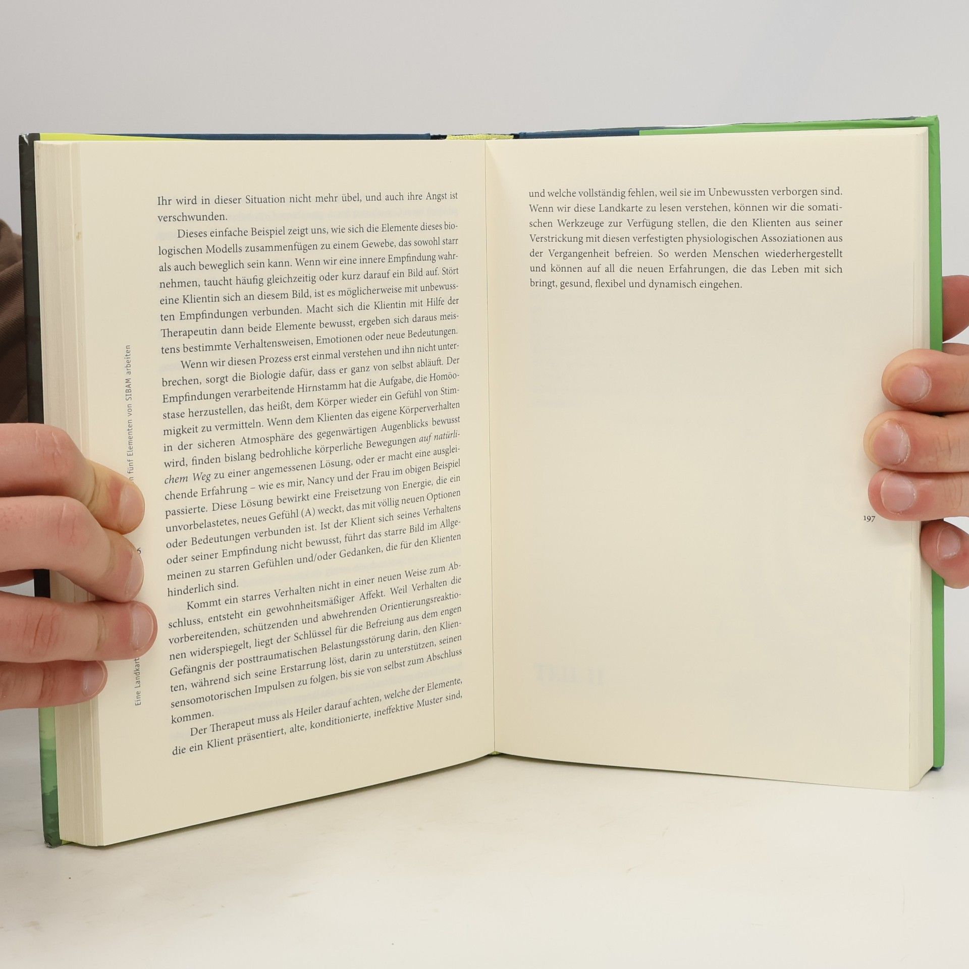 Peter A. Levine Sprache ohne Worte