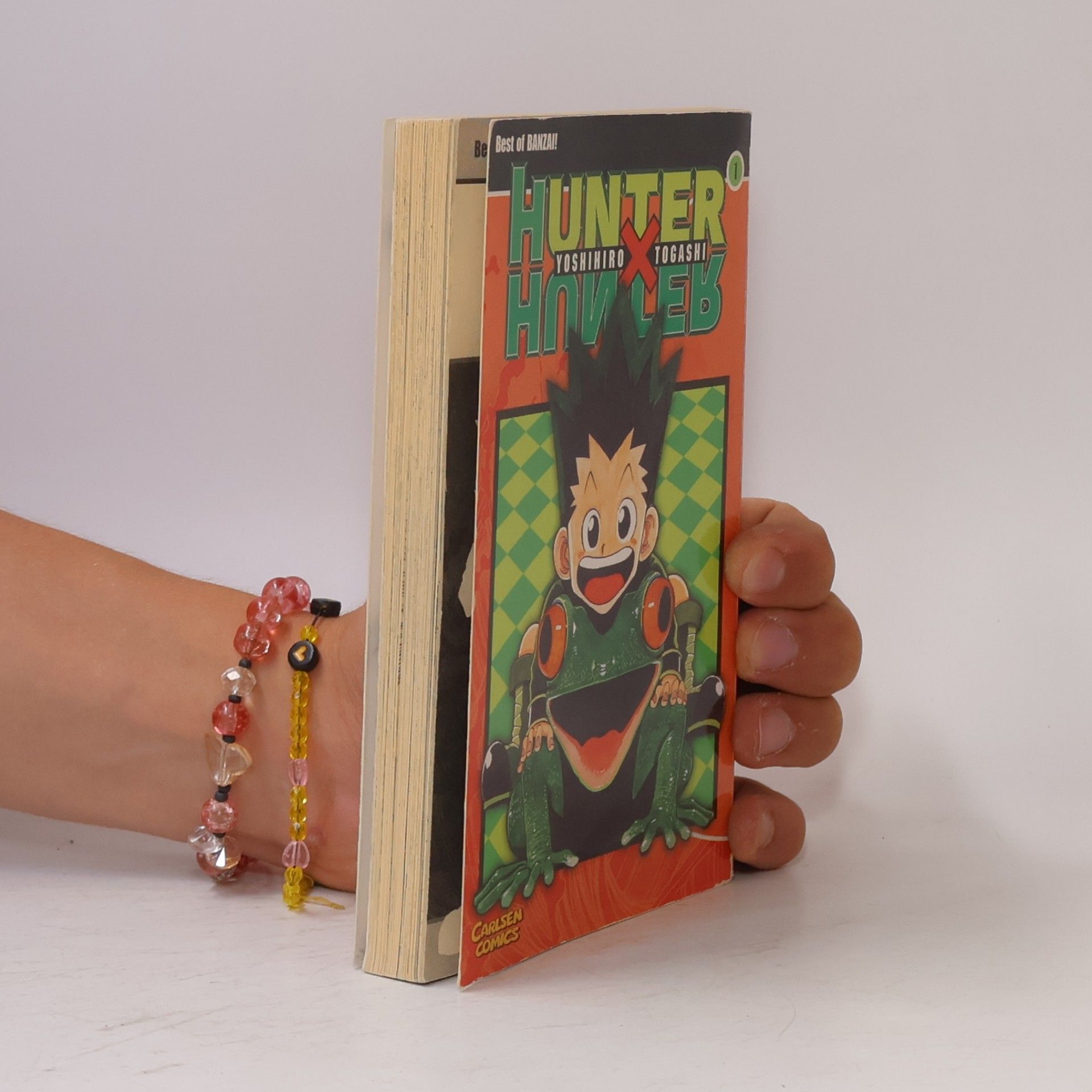 Yoshihiro Togashi Hunter x hunter 1