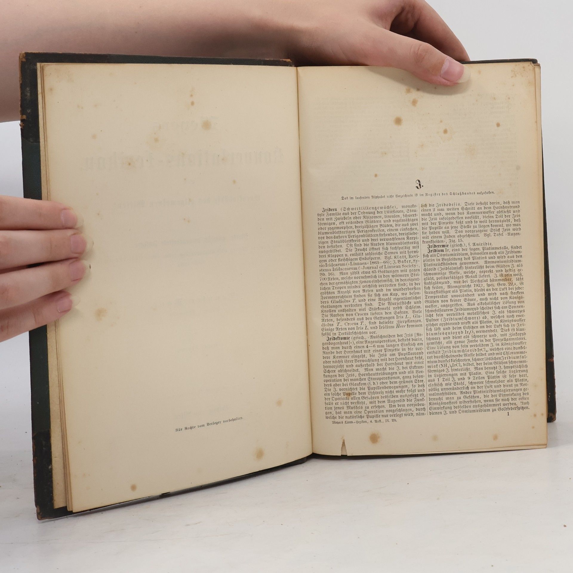 Autores varios Meyers Konversations-Lexikon 9. Irideen-Königsgrün
