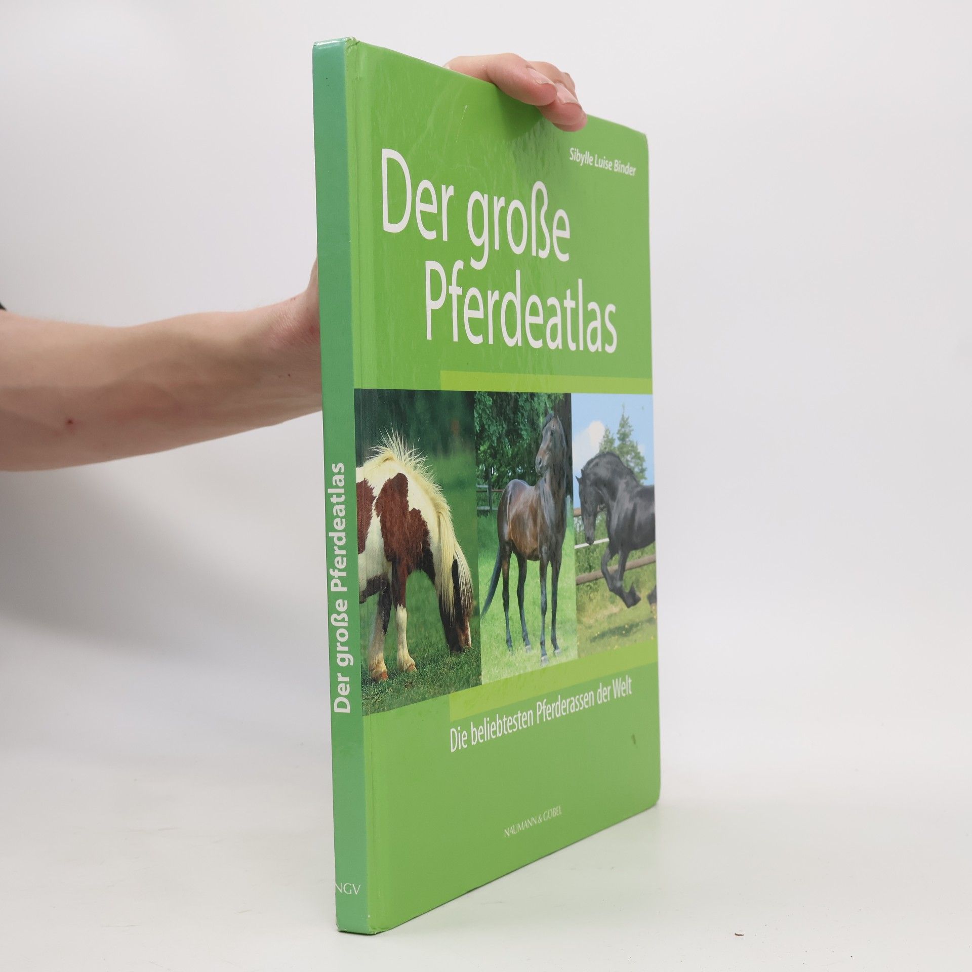 Sibylle Luise Binder Der grosse Pferdeatlas