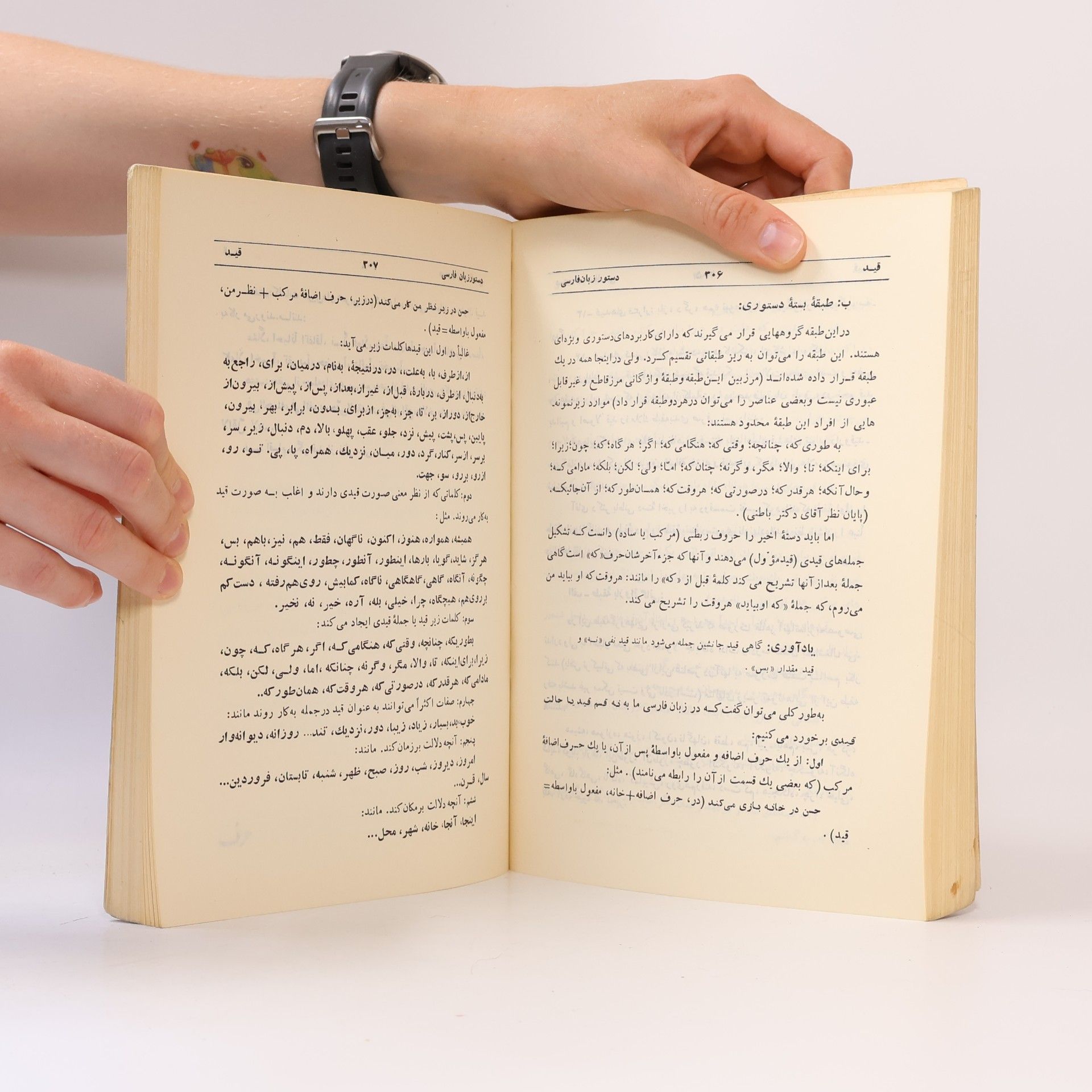 Mohammada Javada Shariata دستور زبان فارسی