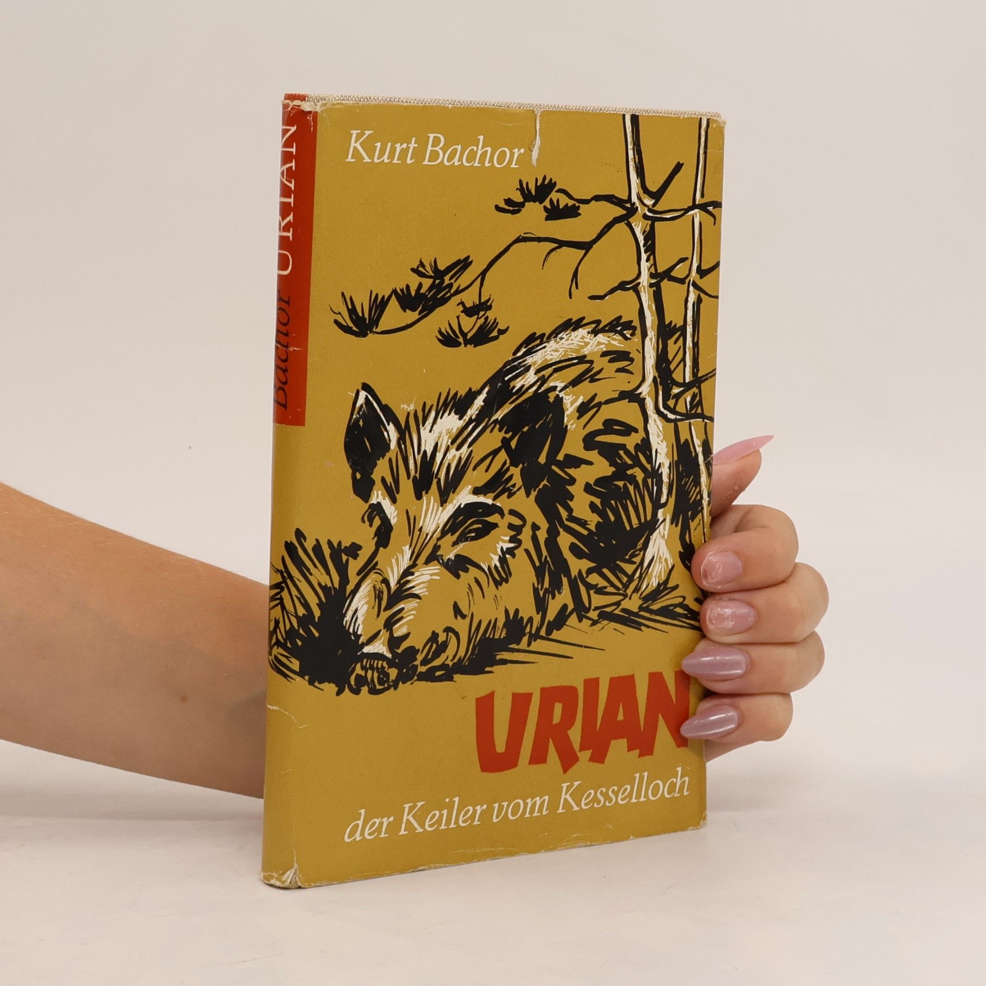 Urian, der Keiler vom Kesselloch