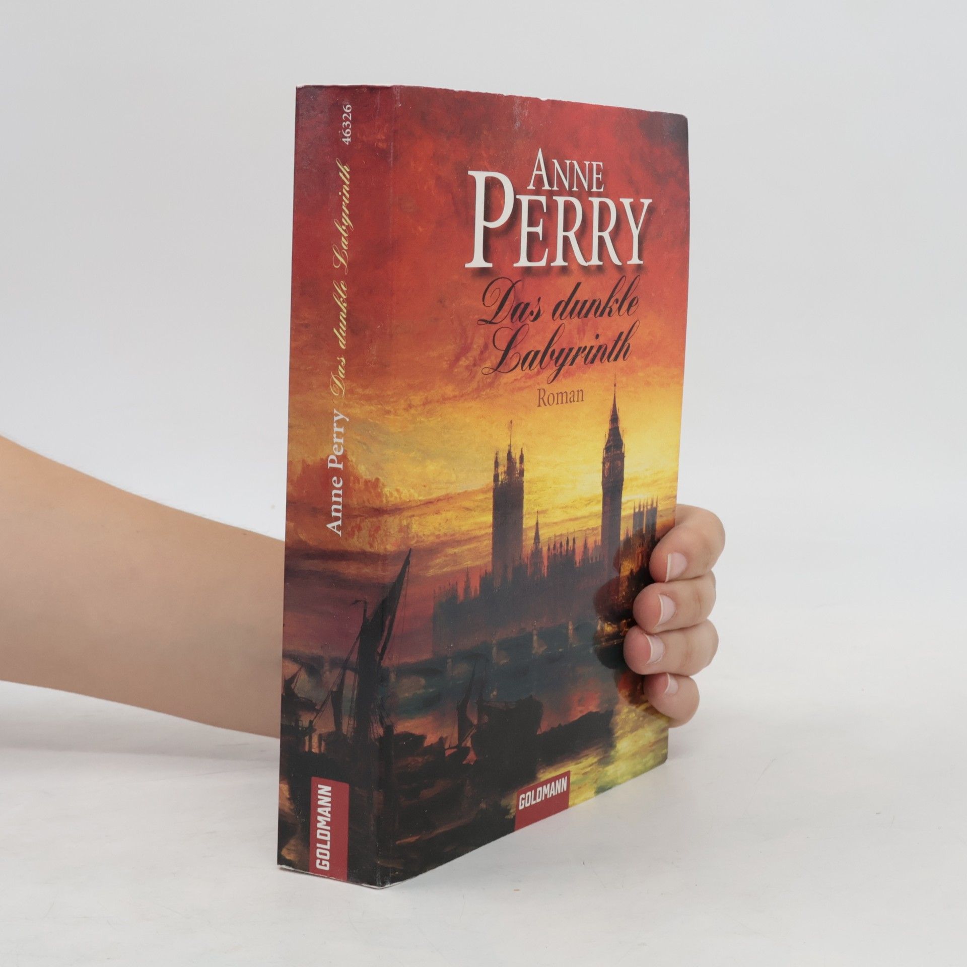 Anne Perry Das dunkle Labyrinth