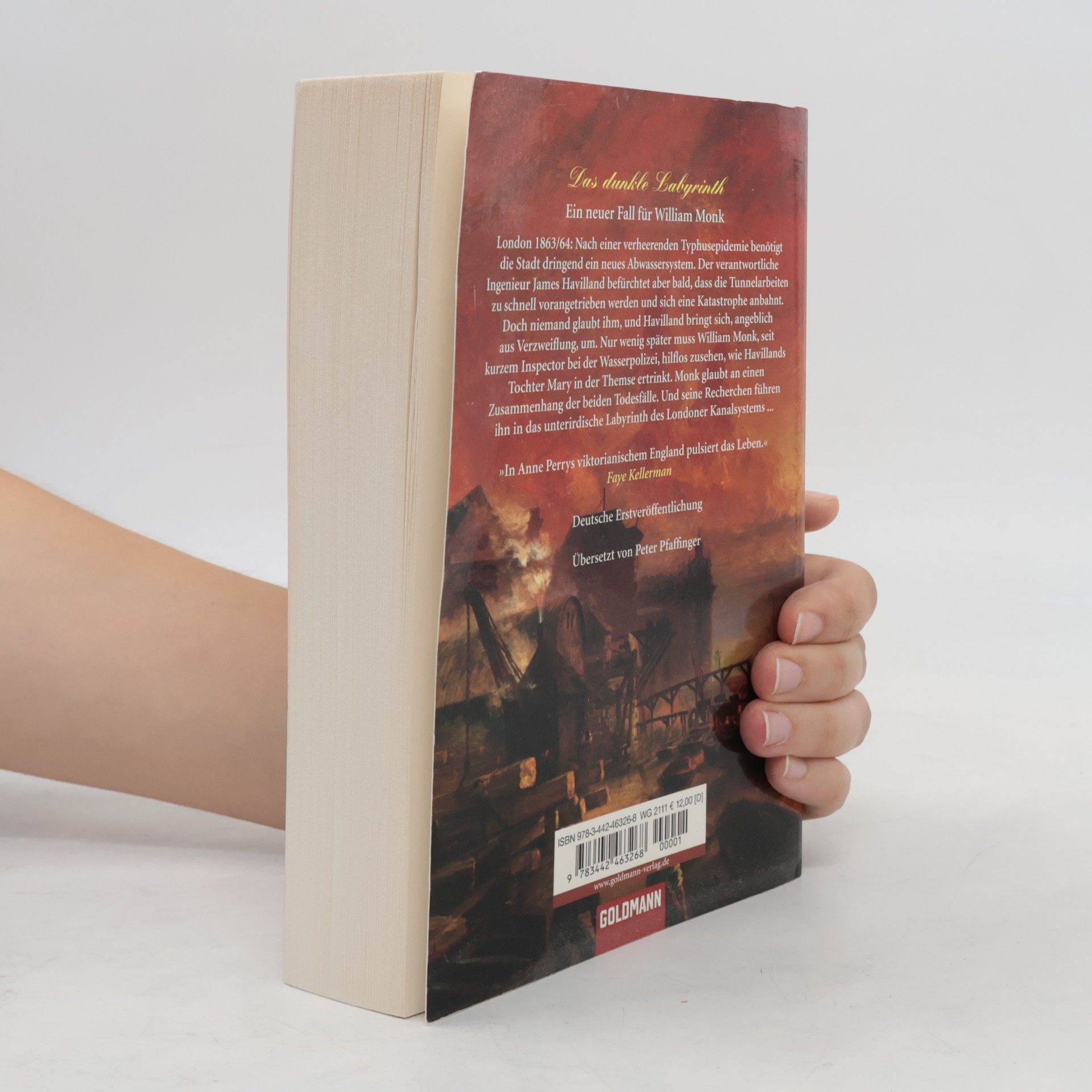 Anne Perry Das dunkle Labyrinth