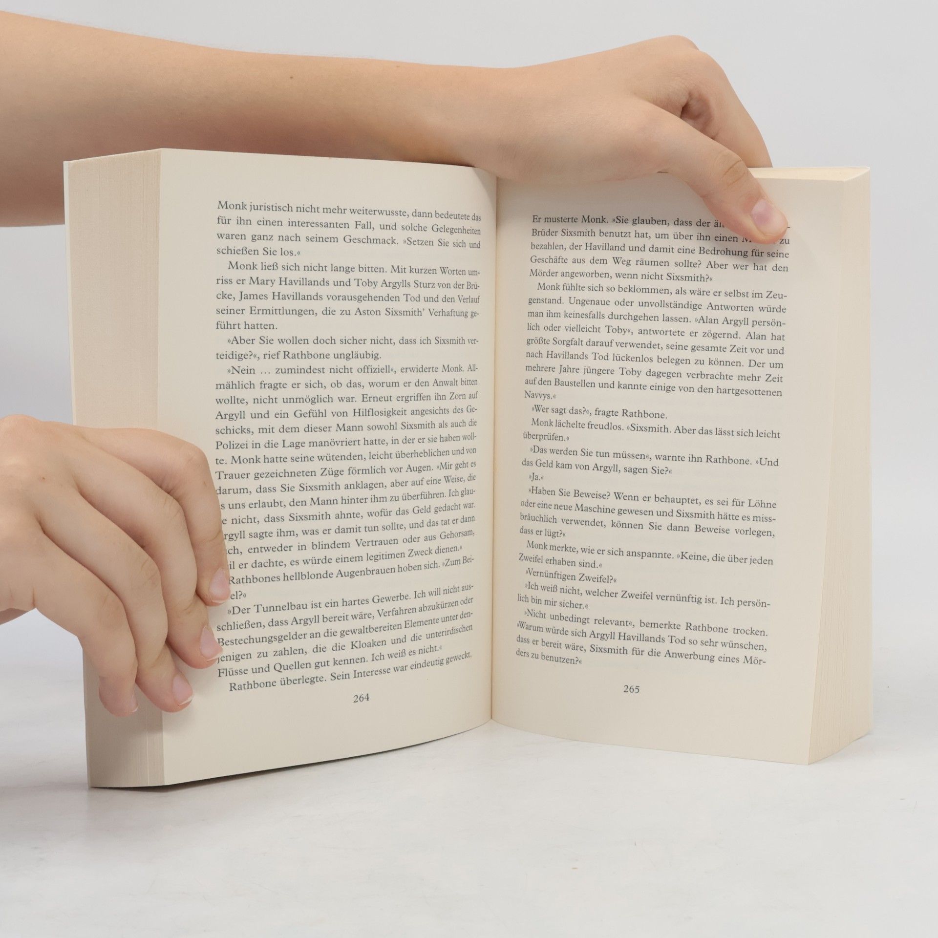 Anne Perry Das dunkle Labyrinth