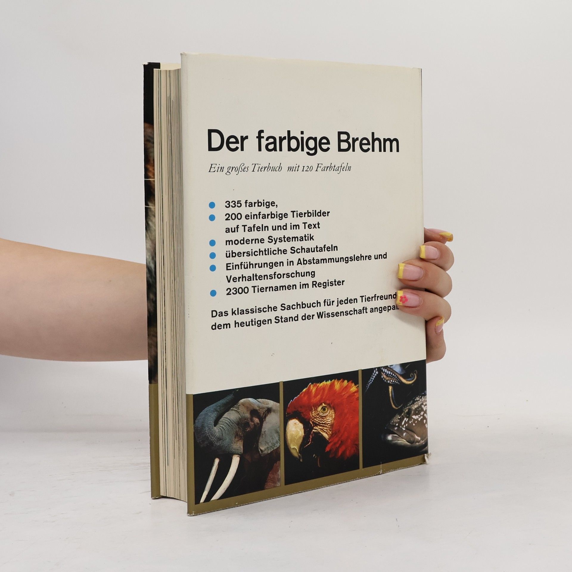 Autorenkollektiv Der farbige Brehm
