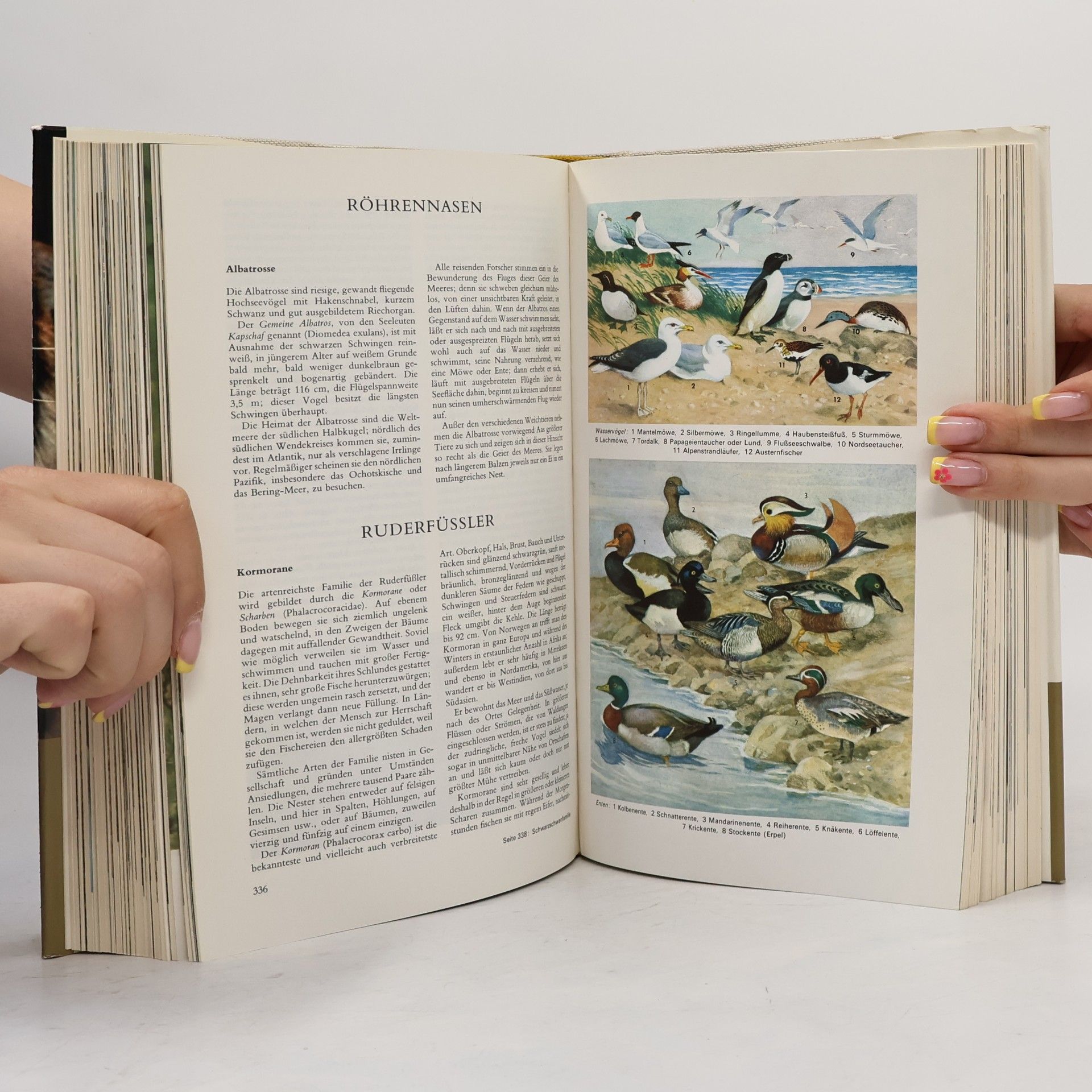 Autorenkollektiv Der farbige Brehm