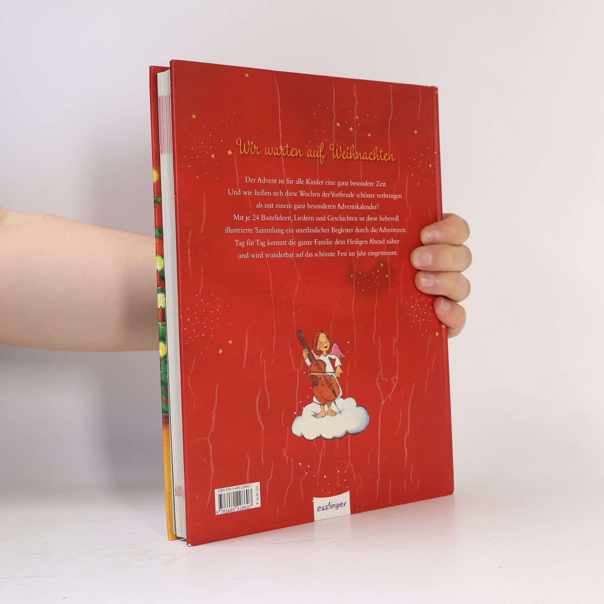 Das große Buch zur Weihnachtszeit