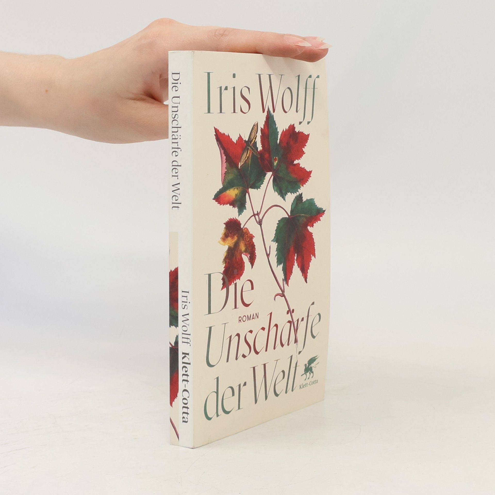 Iris Wolff Die Unschärfe der Welt