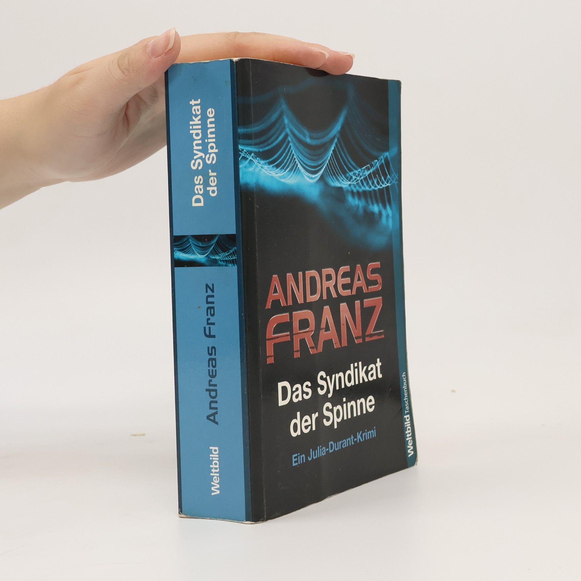 Andreas Franz Das Syndikat der Spinne