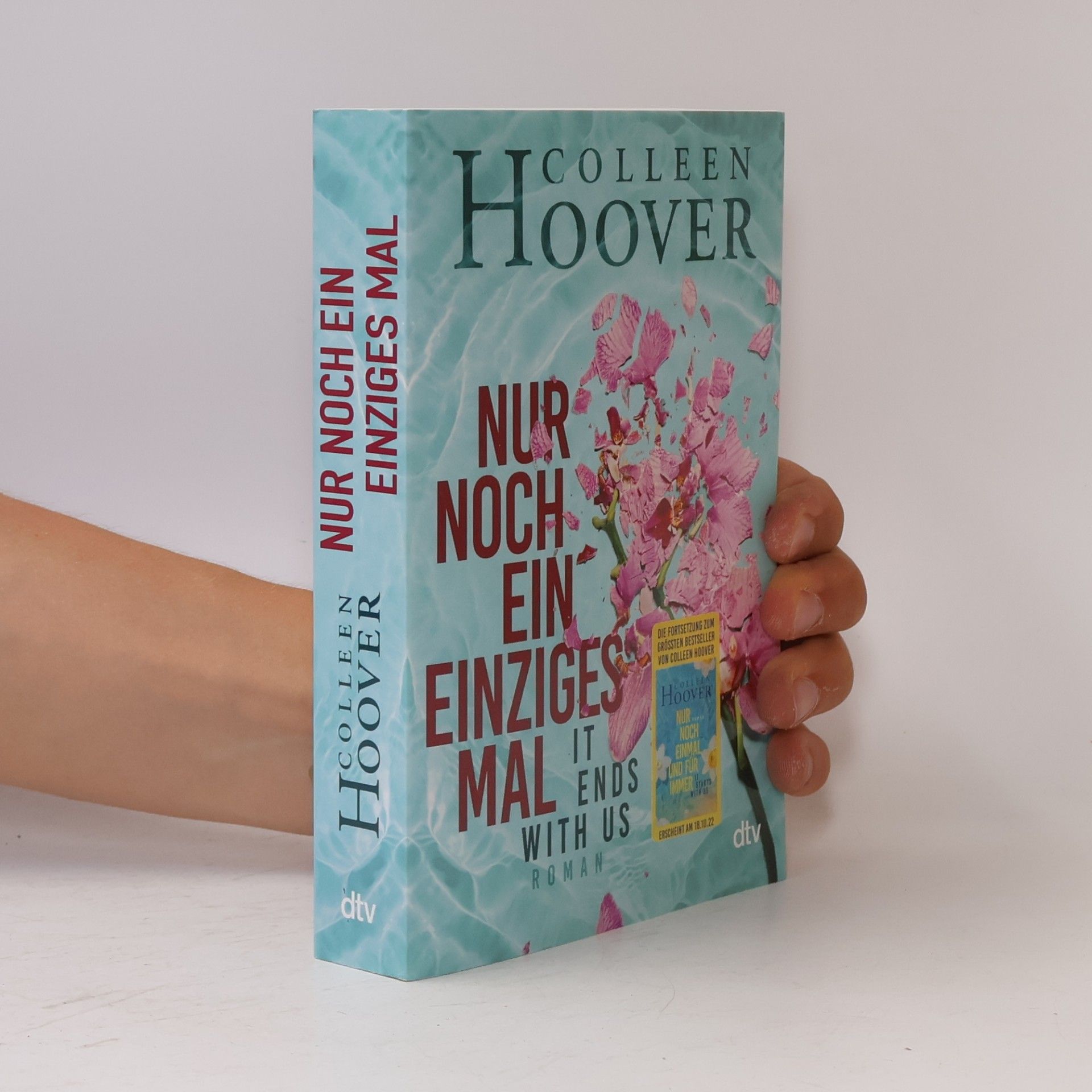Colleen Hoover Nur noch ein einziges Mal
