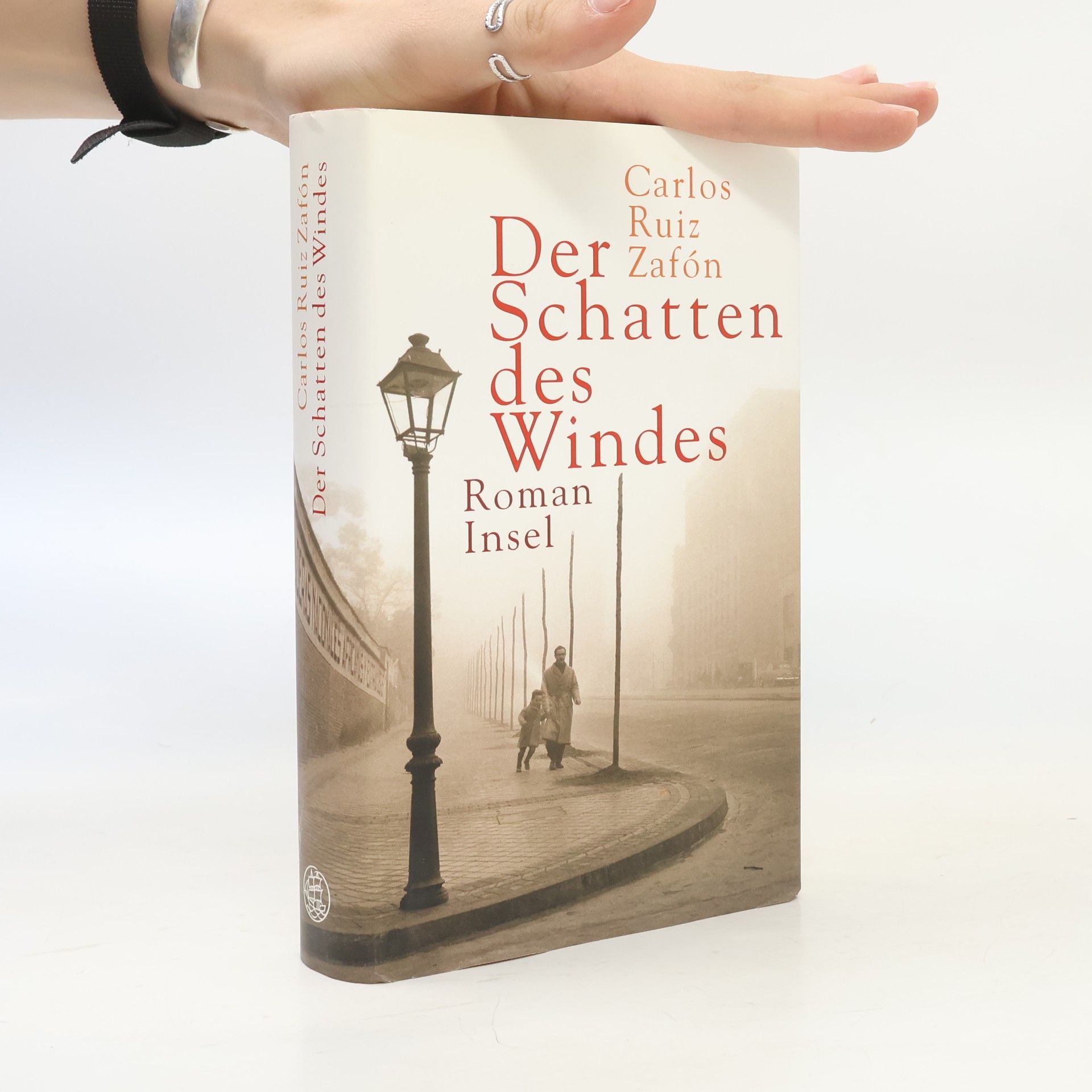 Carlos Ruiz Zafón Der Schatten des Windes
