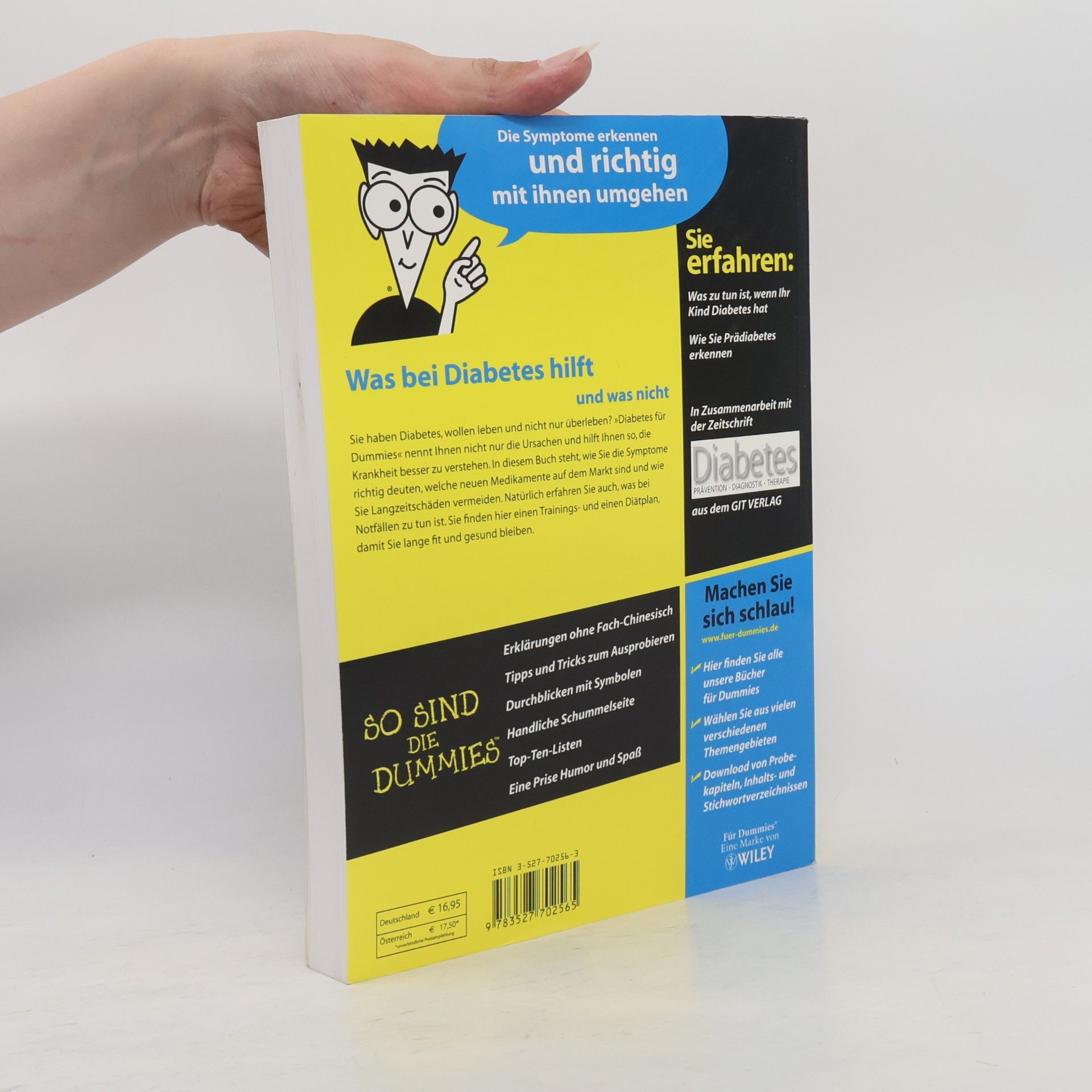 Alan L. Rubin Diabetes für Dummies