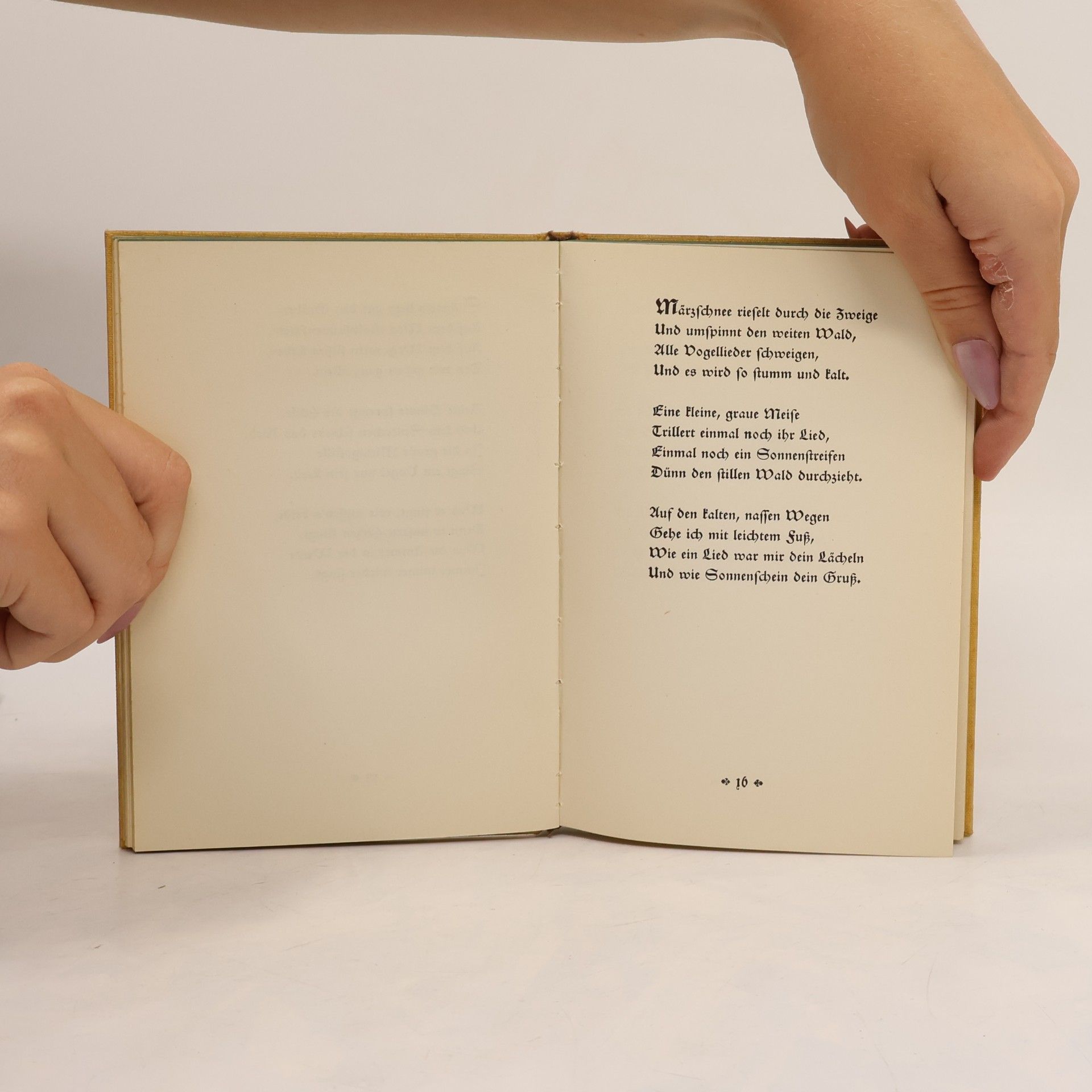 Hermann Löns Mein goldenes Buch. Dichtungen