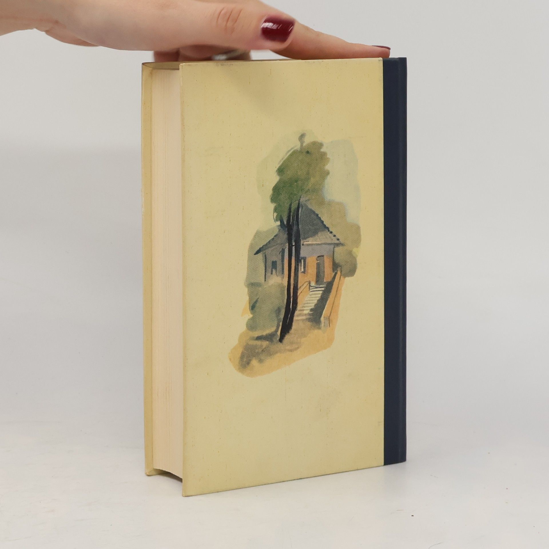 Gustave Flaubert Madame Bovary
