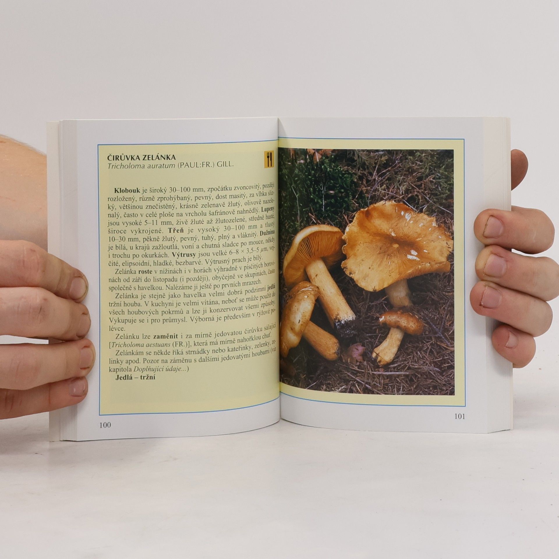 Miroslav Smotlacha Kapesní atlas hub