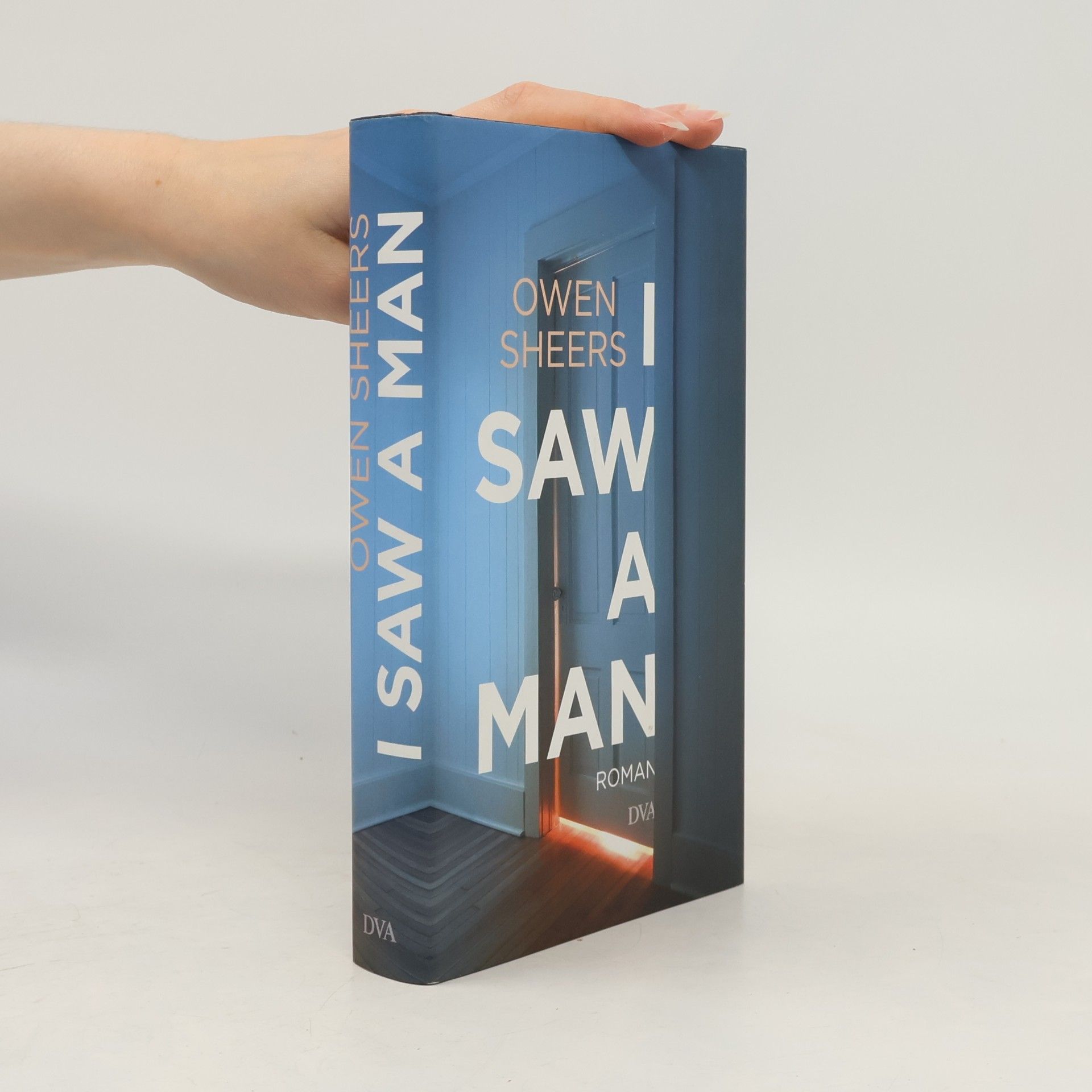 Owen Sheers I Saw a Man