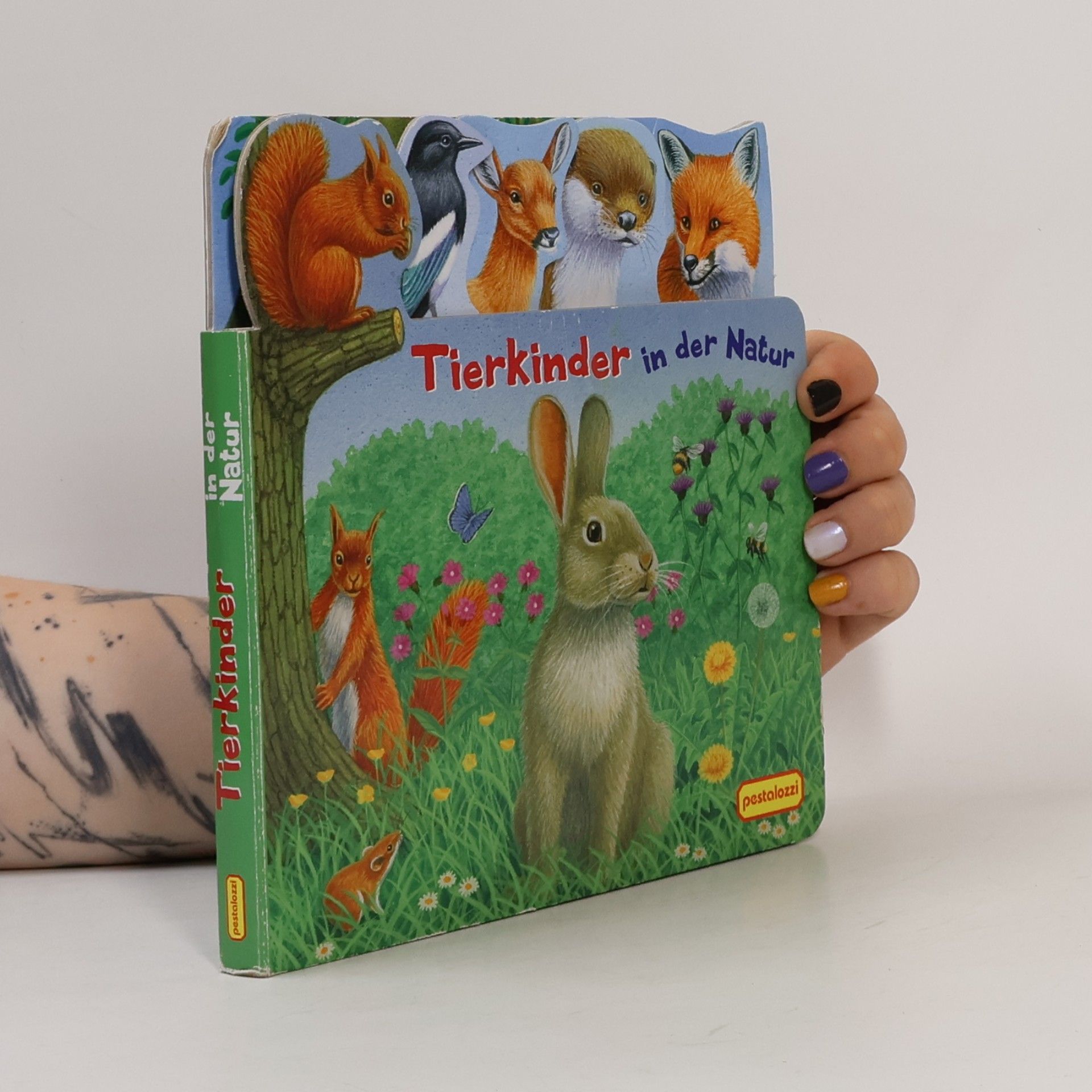 Tierkinder in der Natur