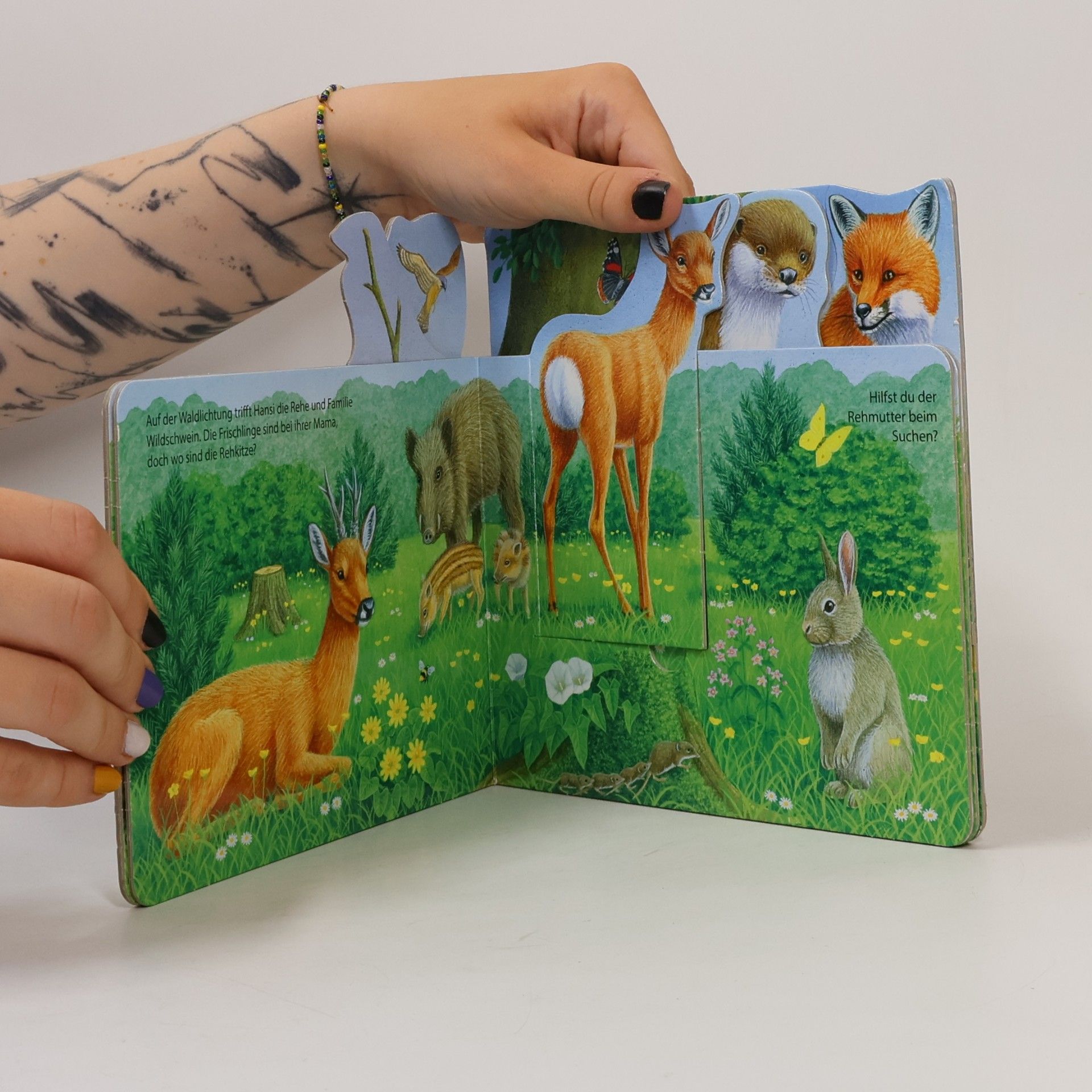 Bob Bampton Tierkinder in der Natur