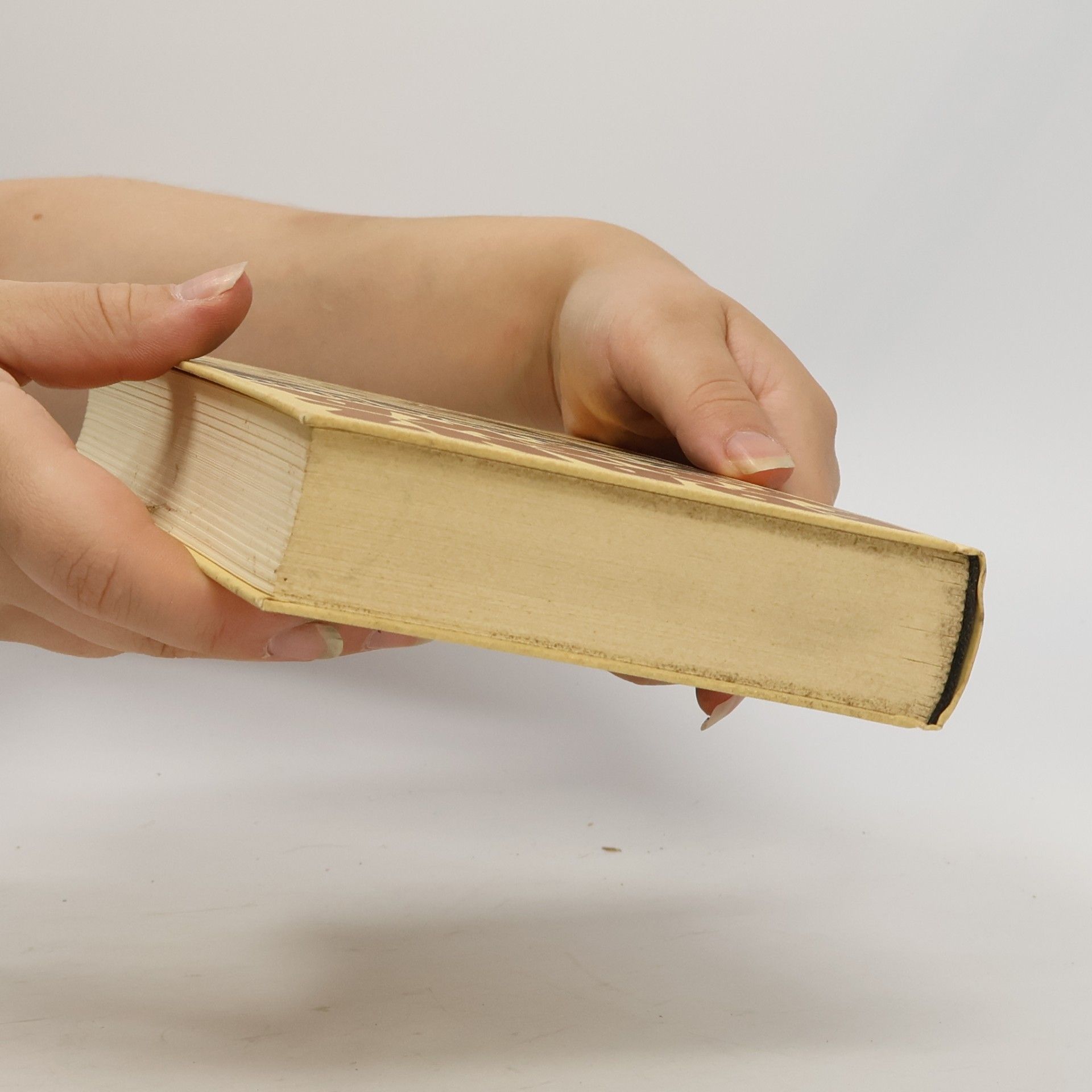Jürgen Born Franz Kafka, Kritik und Rezeption, 1924-1938