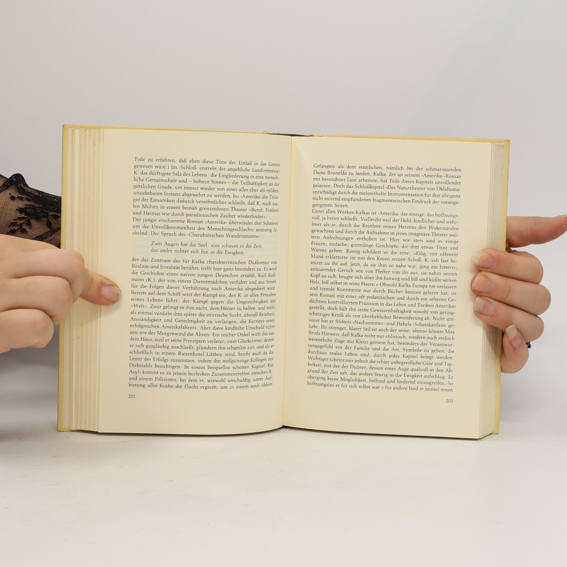 Jürgen Born Franz Kafka, Kritik und Rezeption, 1924-1938