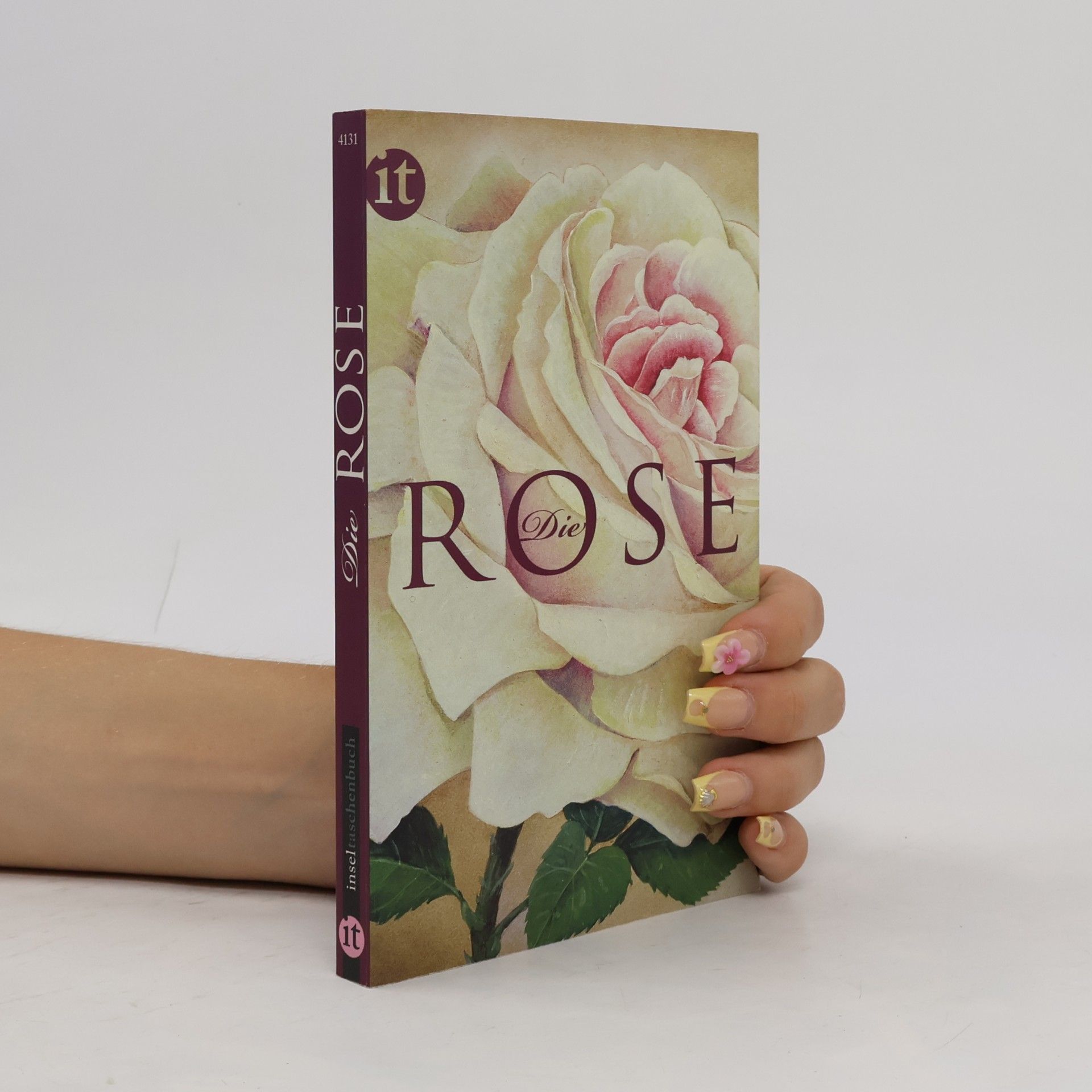 Beatrix Müller Die Rose