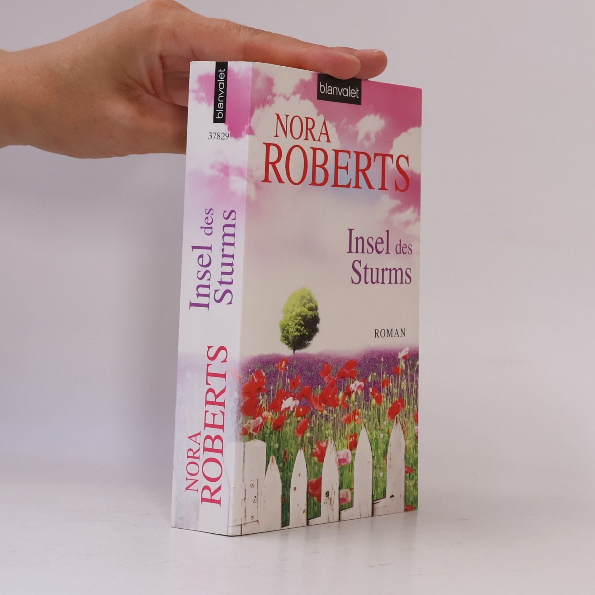 Nora Roberts Insel des Sturms