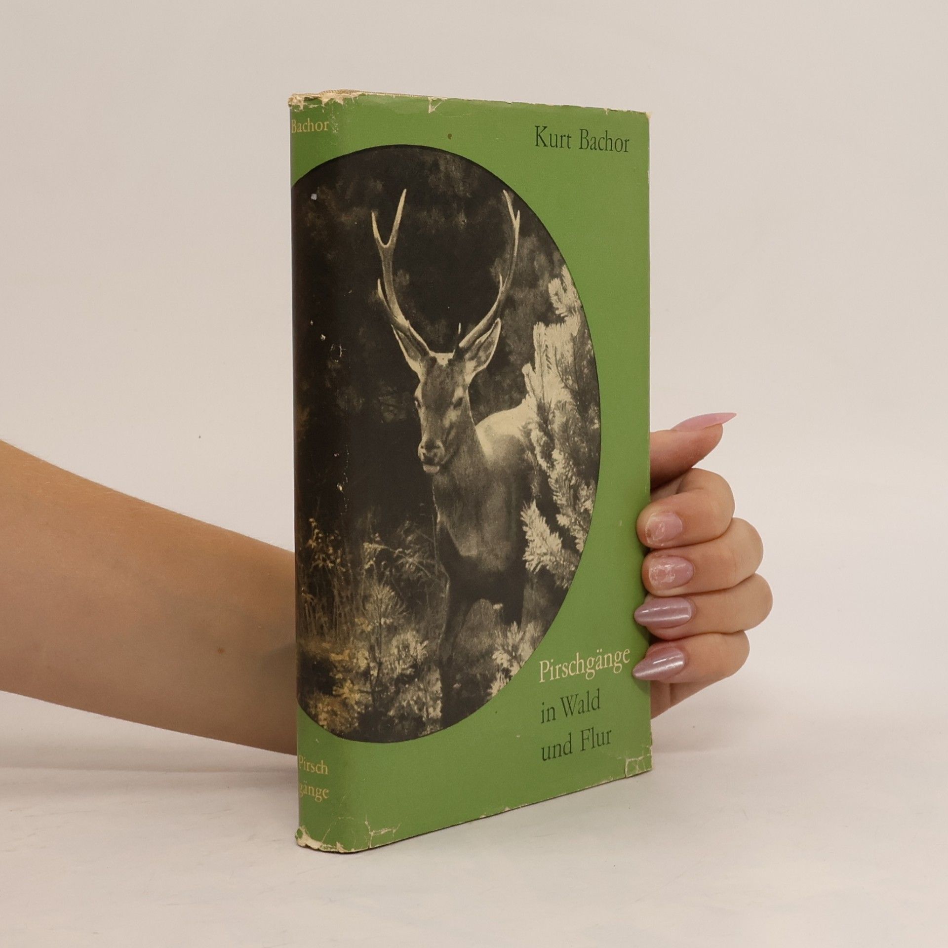Kurt Bachor Pirschgänge in Wald und Flur