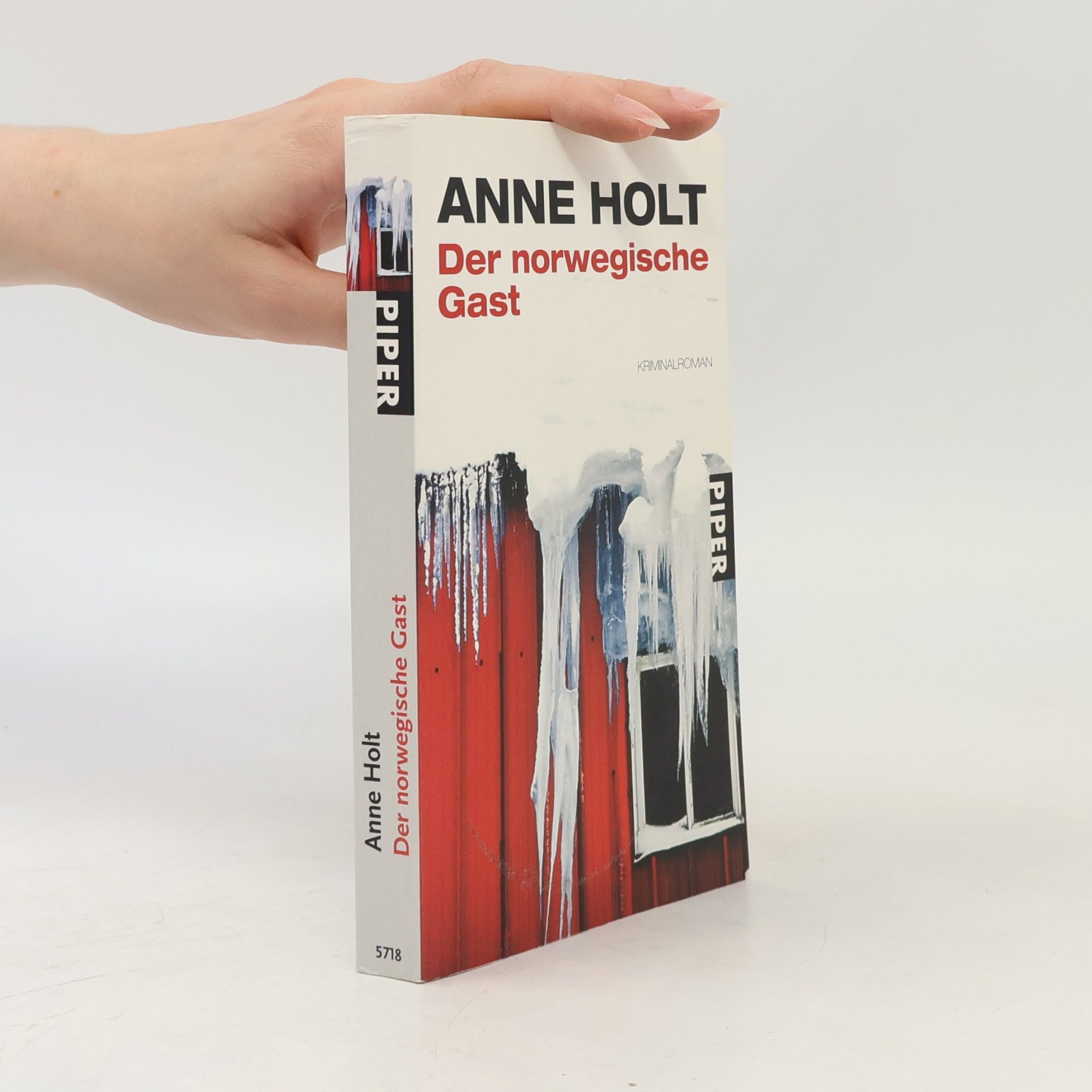Anne Holt Der norwegische Gast